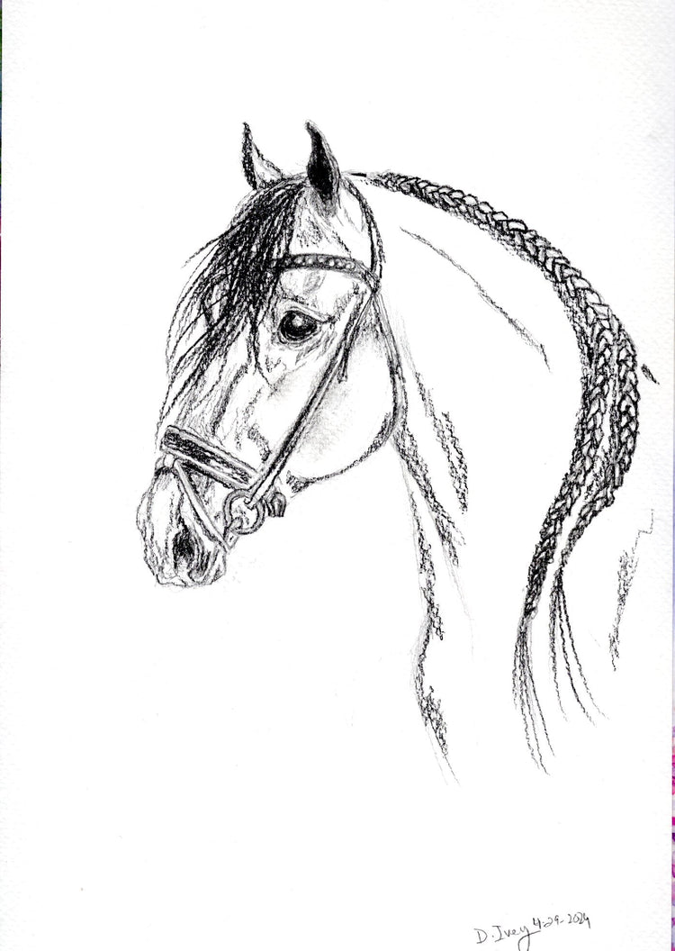 Original Artwork