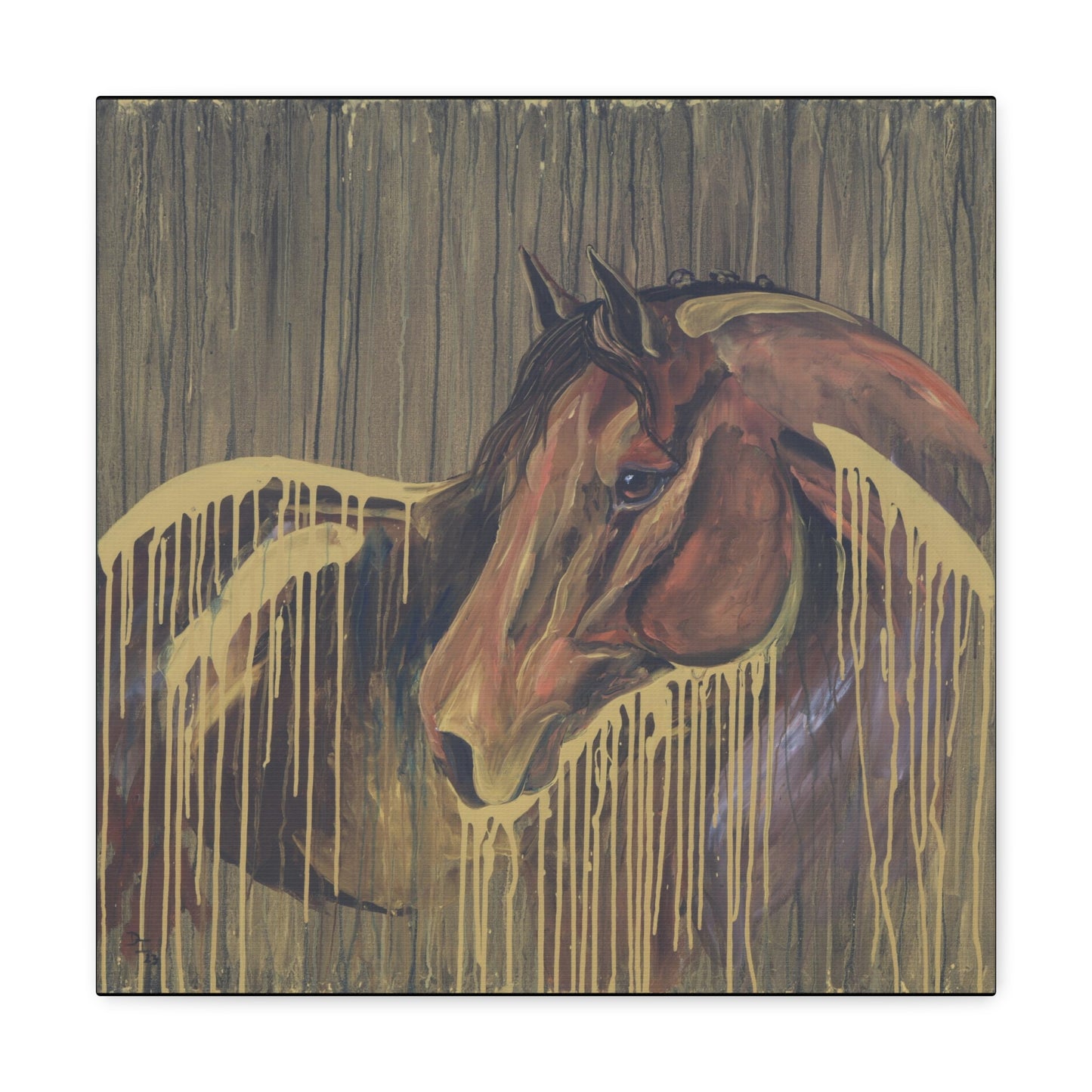 Golden Bay Kindness - SonaEquestrian