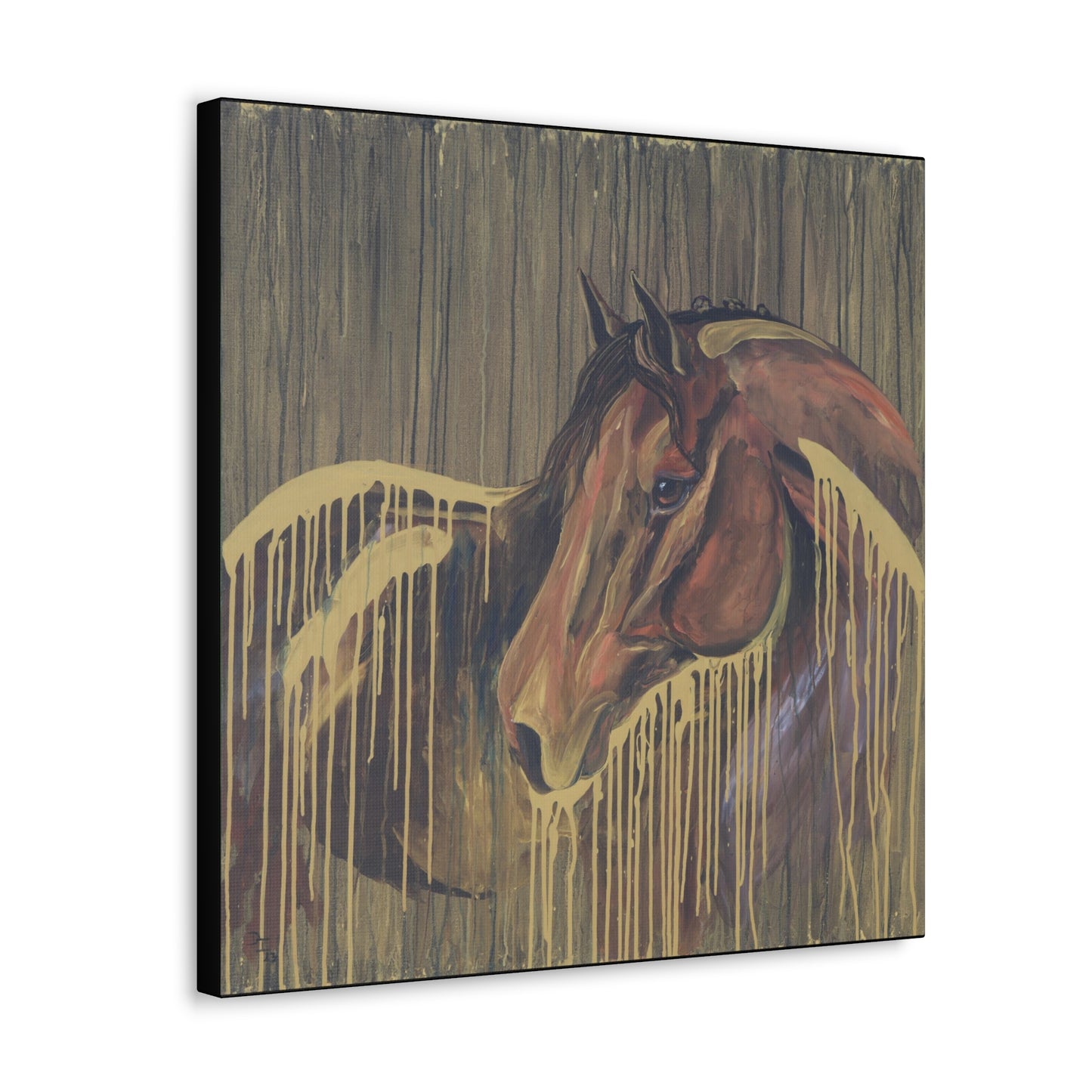 Golden Bay Kindness - SonaEquestrian