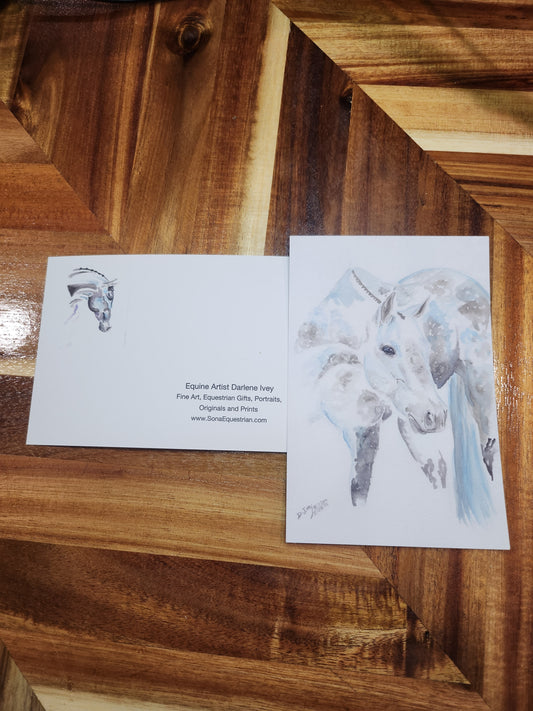 #41 The Practice Postcard (4x6) - SonaEquestrian