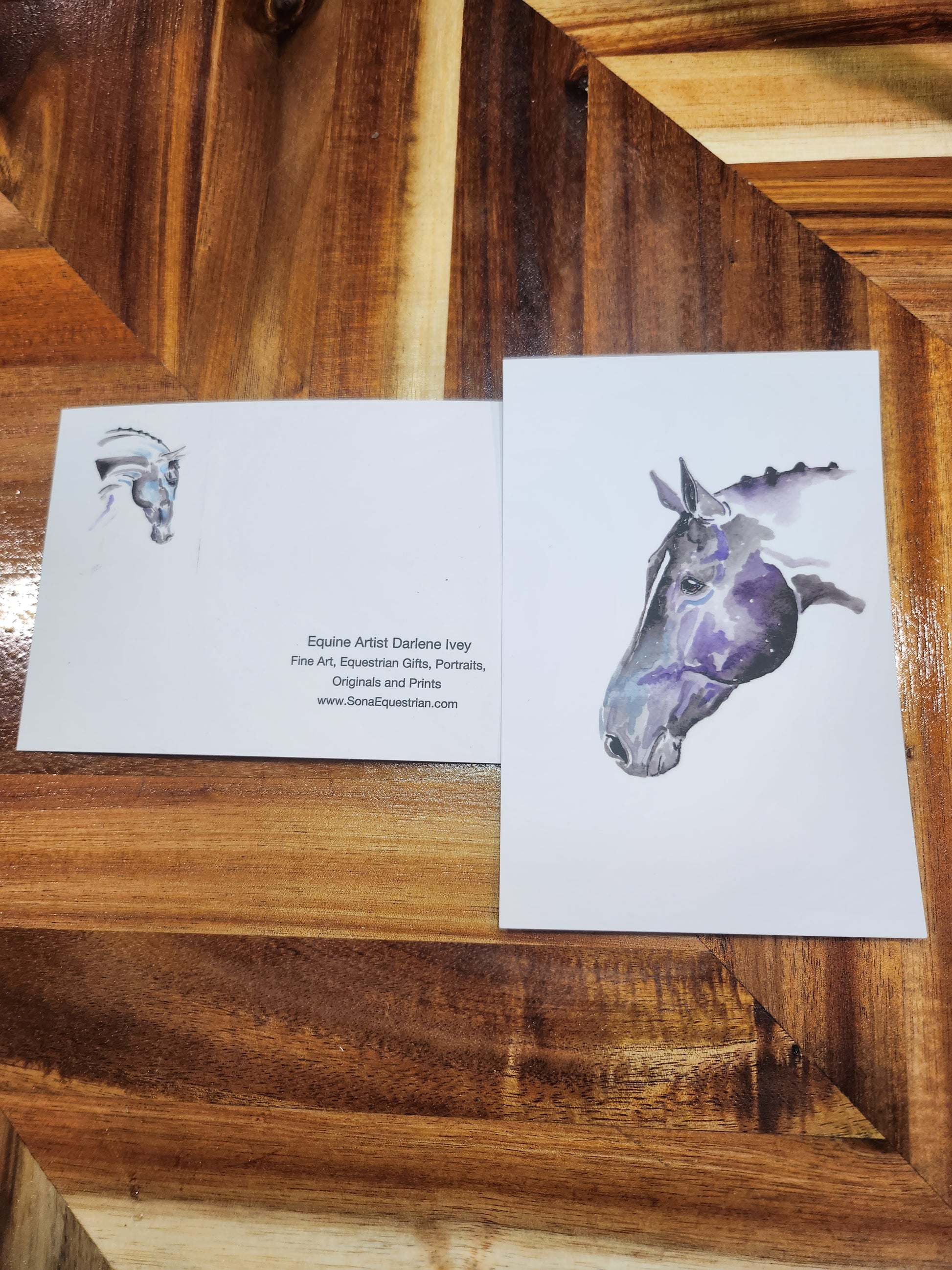 #38 Star Light   4 x 6 post card - SonaEquestrian