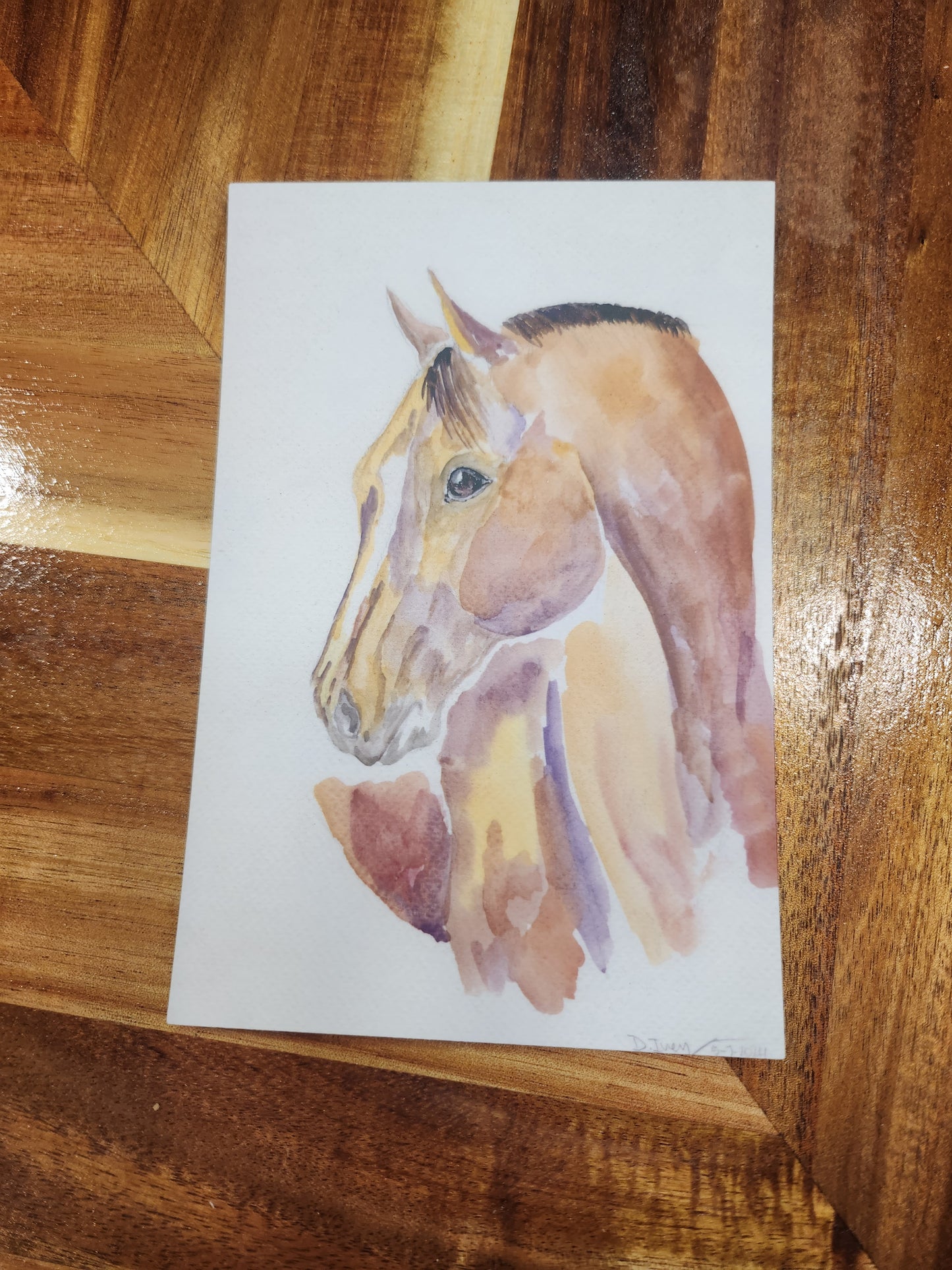 In the Light Postcard (4x6) - SonaEquestrian