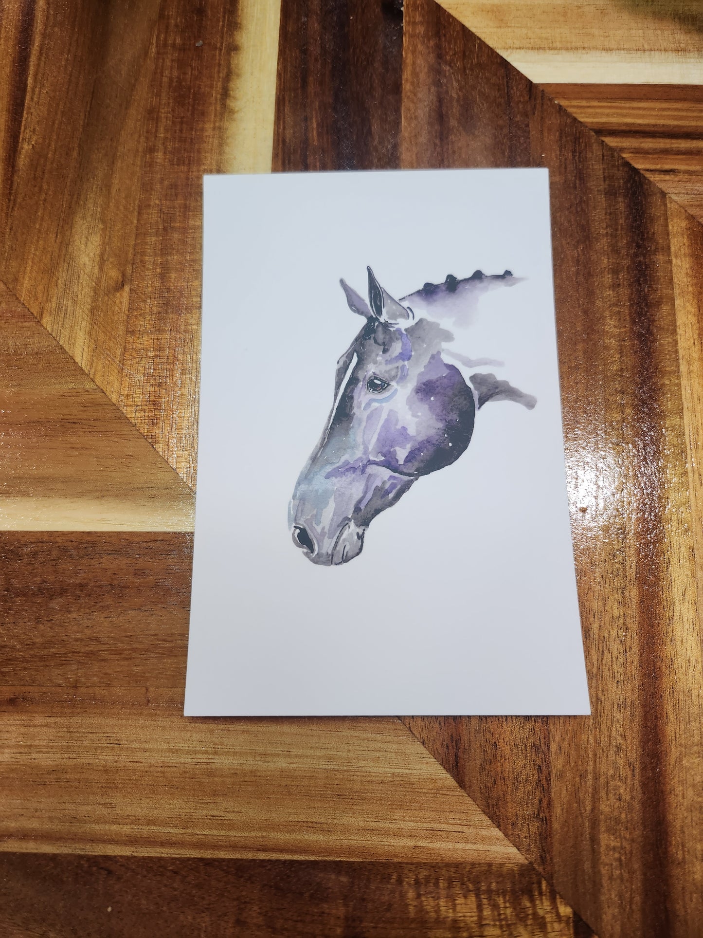 #38 Star Light 4 x 6 post card - SonaEquestrian