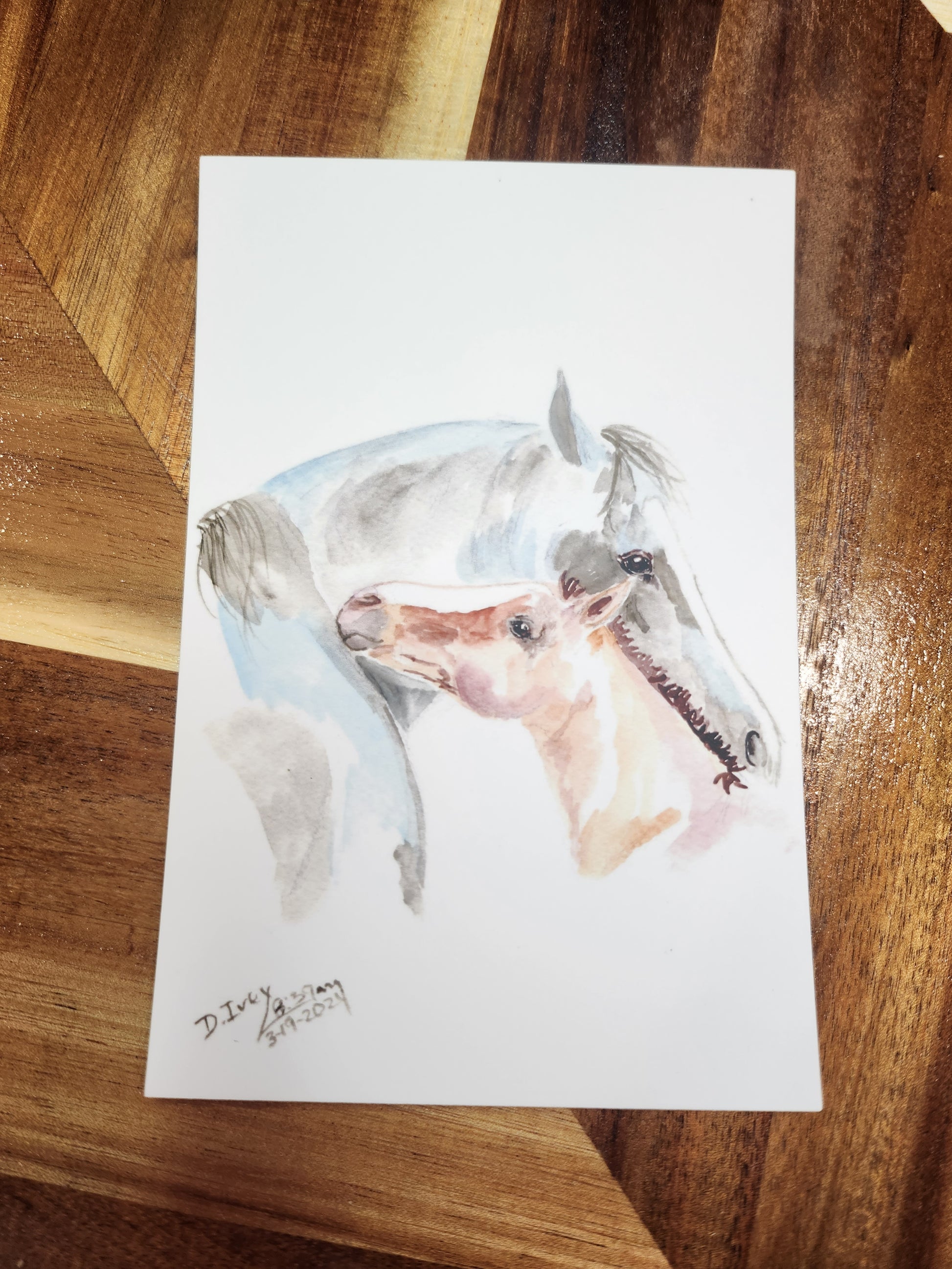 #60 Affection Post Cards (4x6) - SonaEquestrian