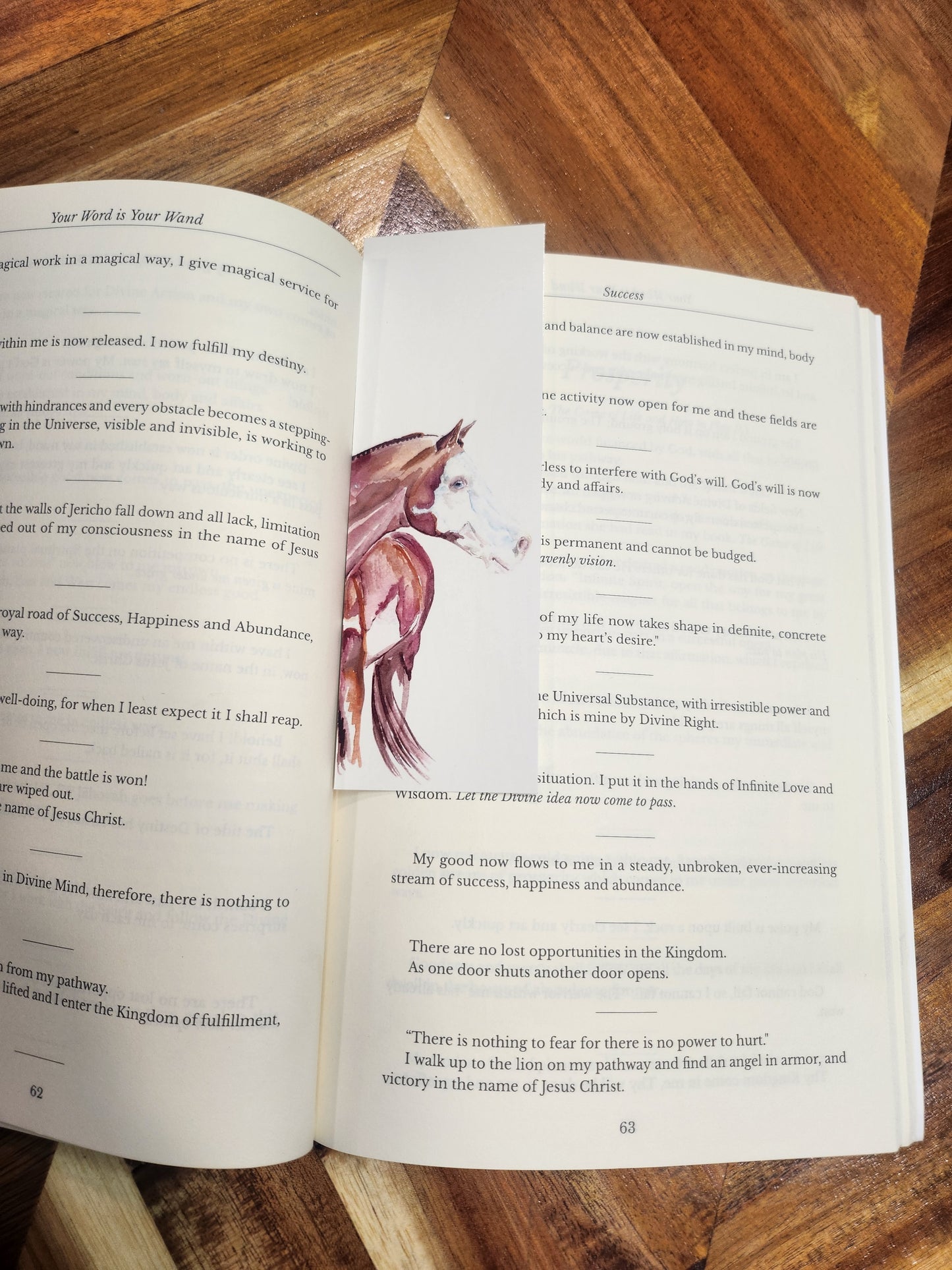 Paint horses Bookmark