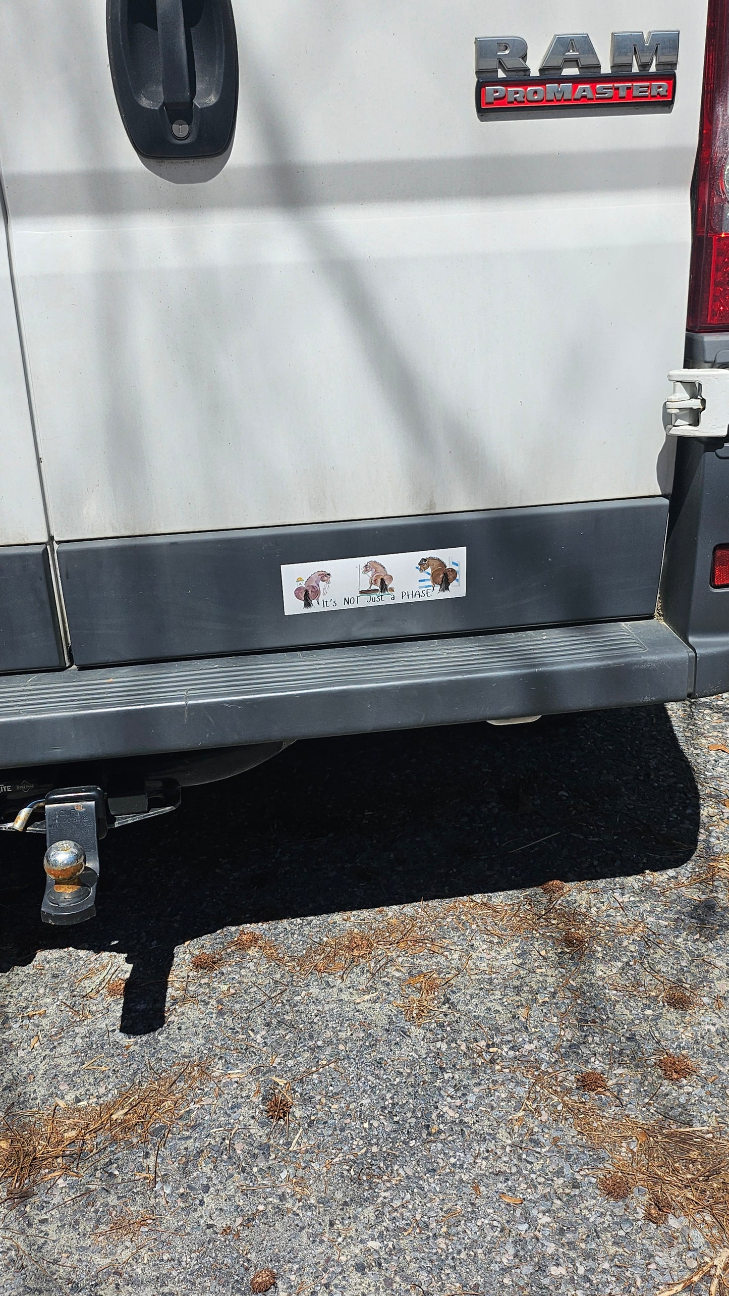 Adorable its Not Just a Phase Bumper Sticker