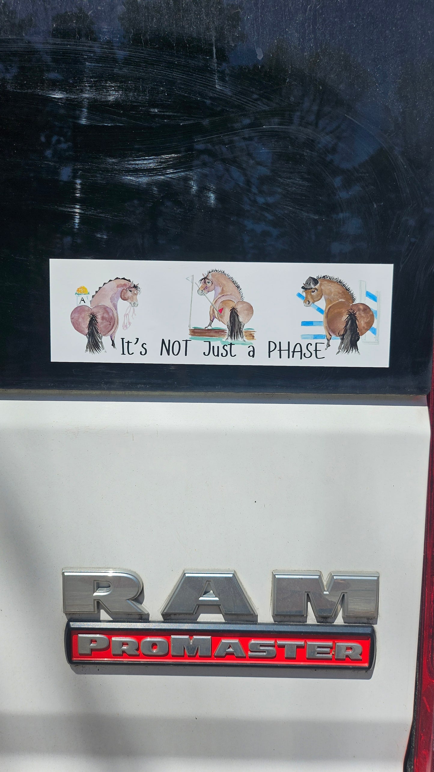 Adorable its Not Just a Phase Bumper Sticker