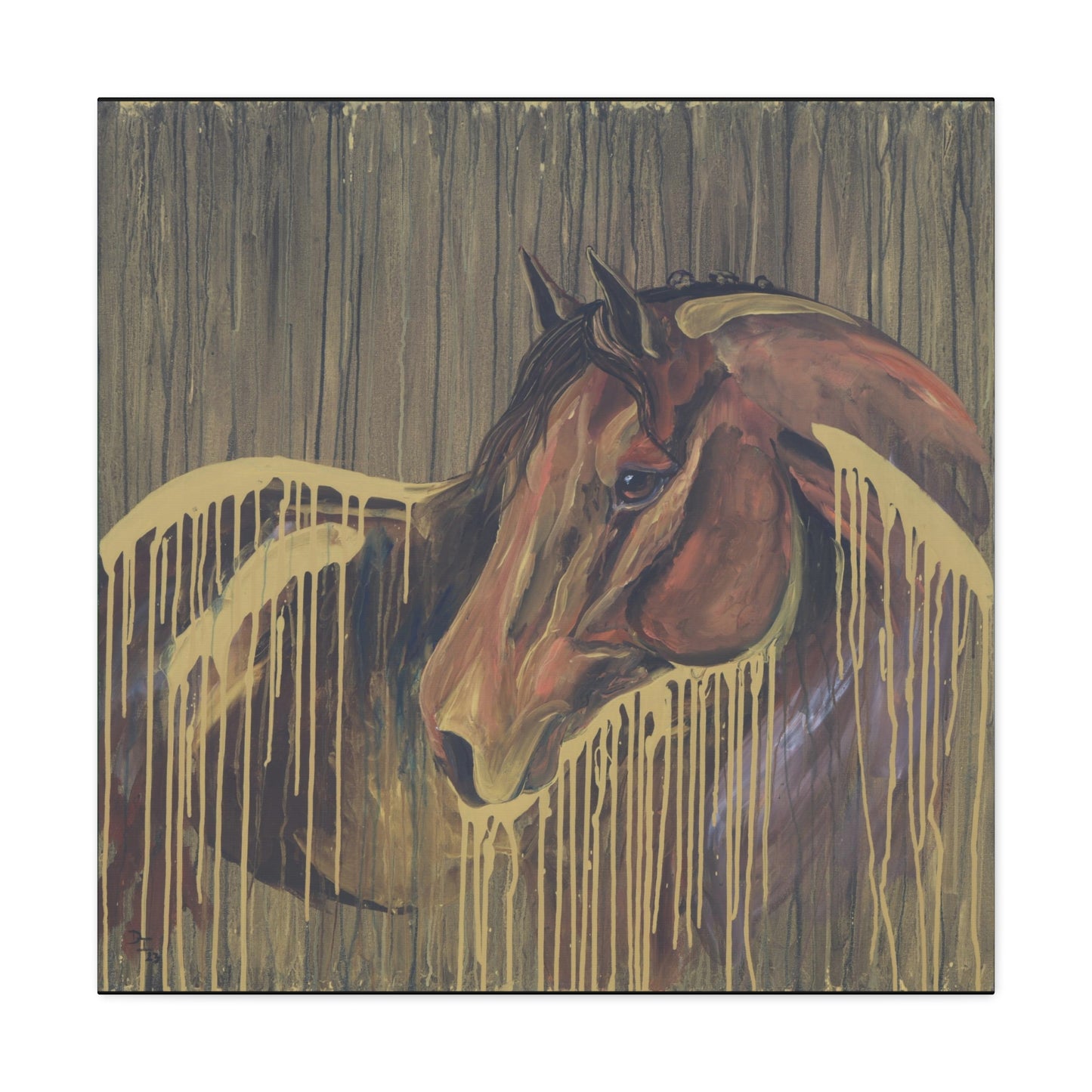 Golden Bay Kindness - SonaEquestrian
