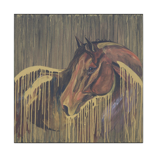 Golden Bay Kindness - SonaEquestrian