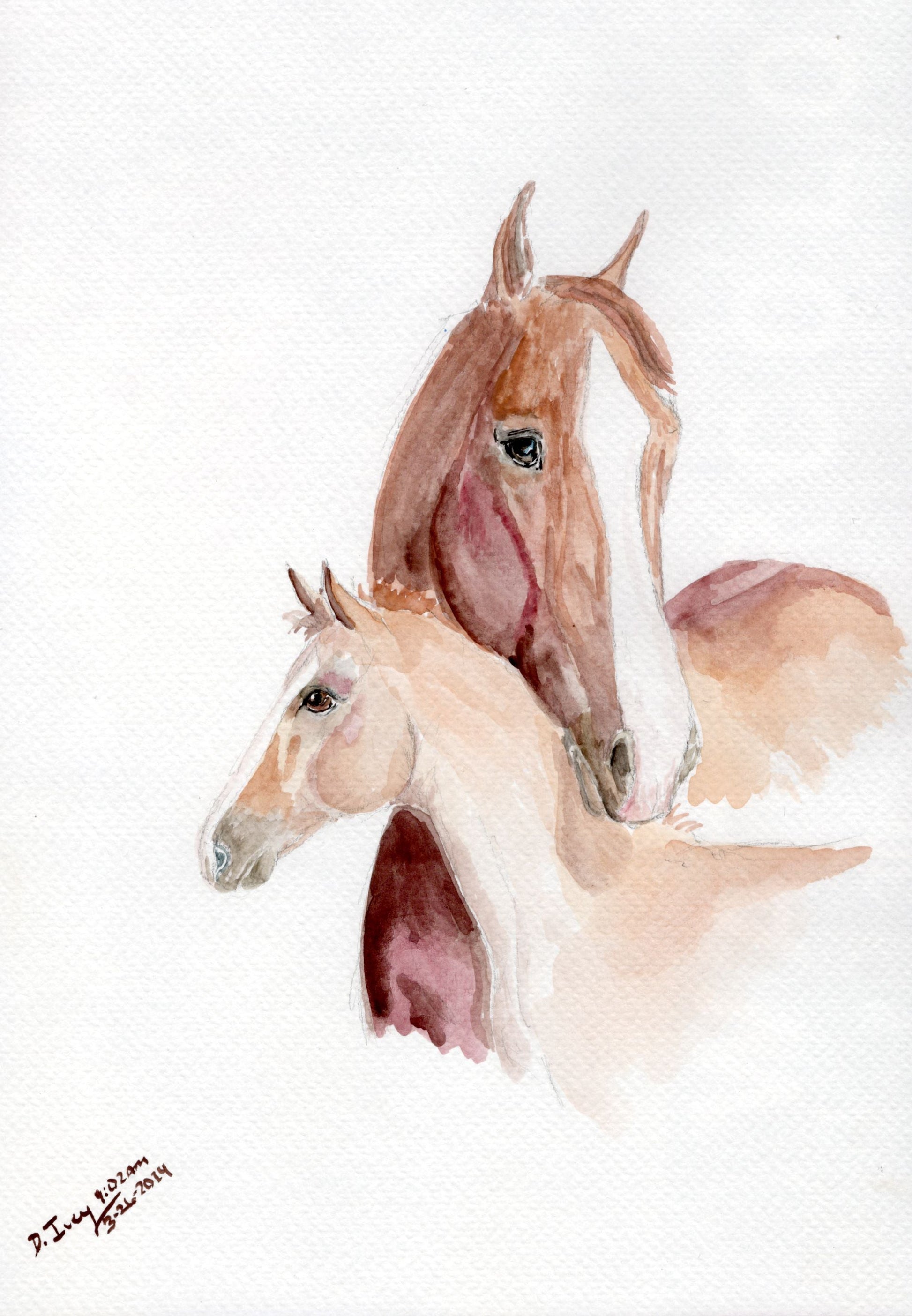 3030-#1 Sunshine Hugs Postcard (4x6) - SonaEquestrian
