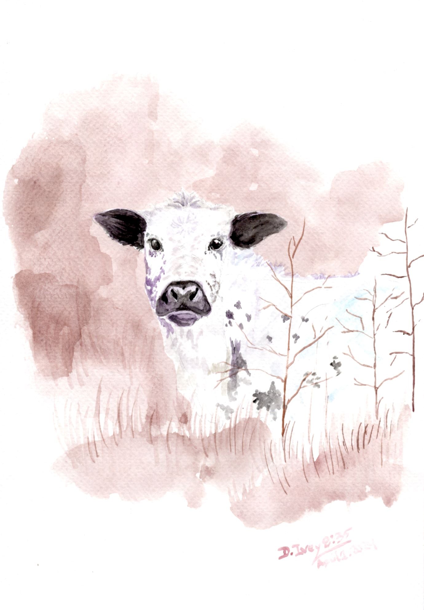 3030-#7 Baby Cow Postcard - SonaEquestrian