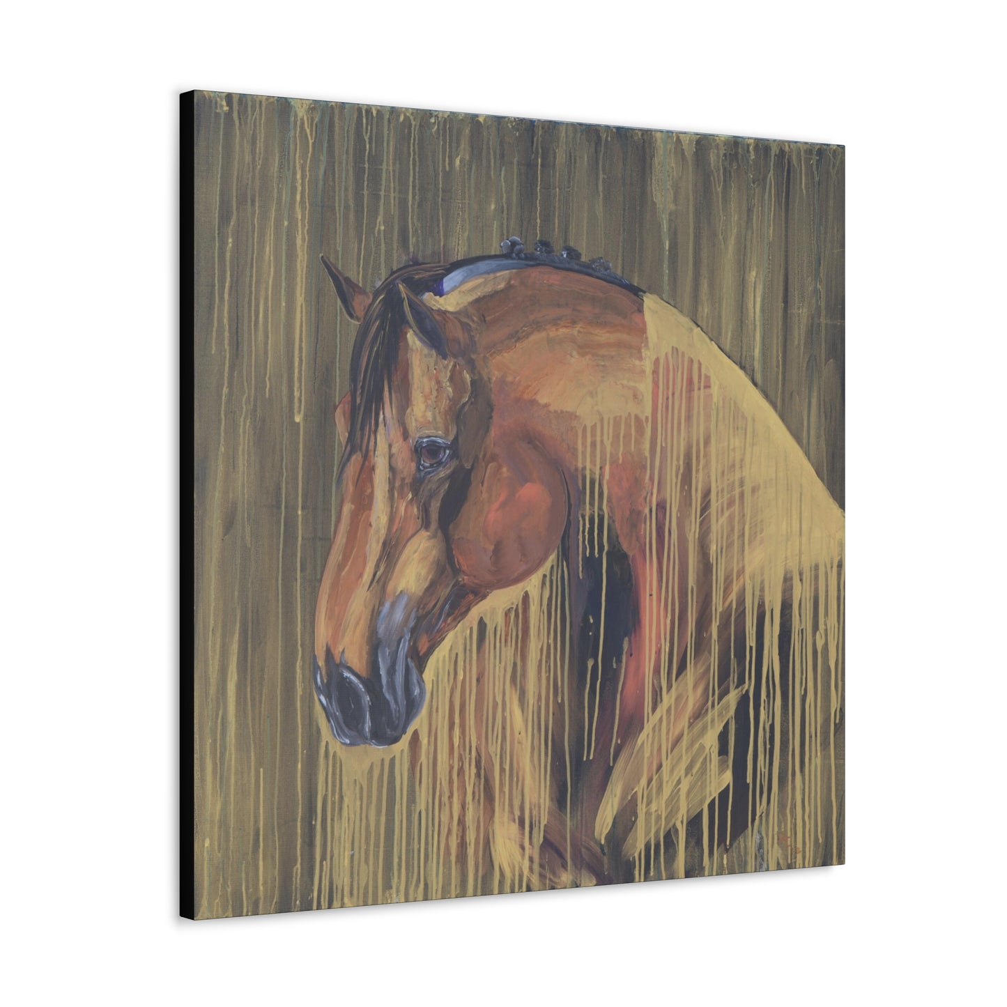 Golden bay Calm - SonaEquestrian