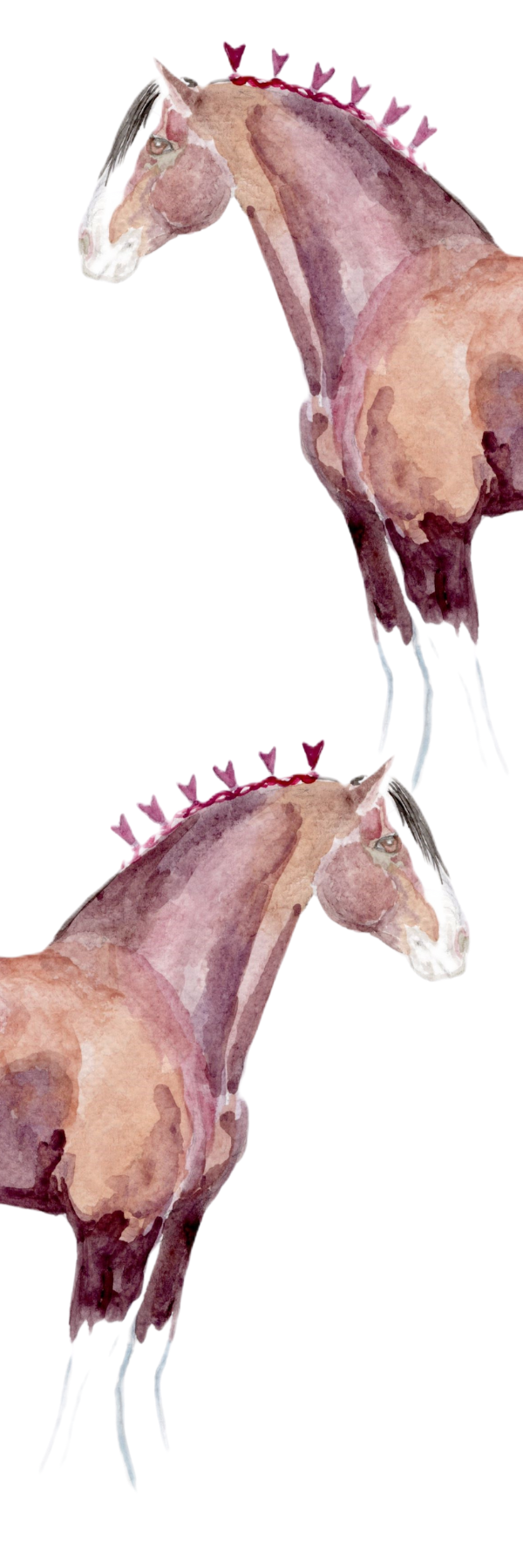 Clydesdale Bookmark