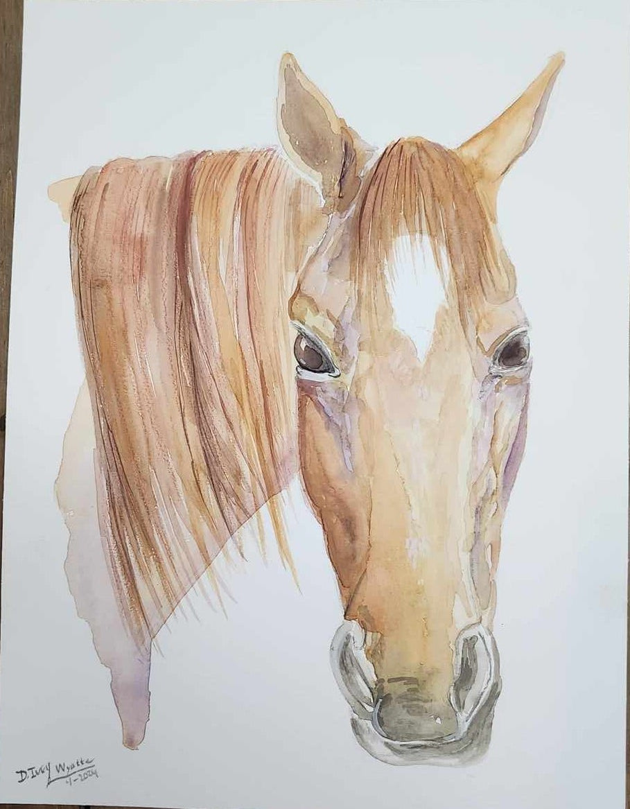 Commission- Wyatte - SonaEquestrian