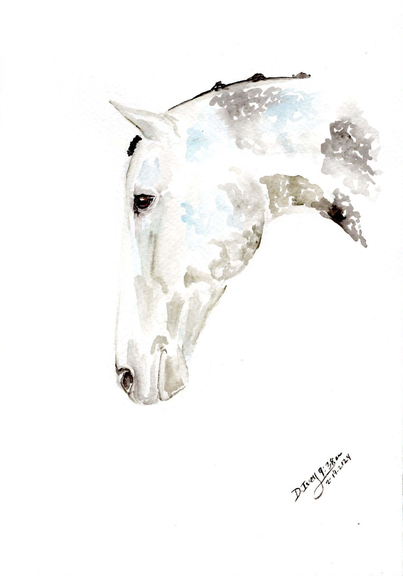 #32 Reflection Print - SonaEquestrian