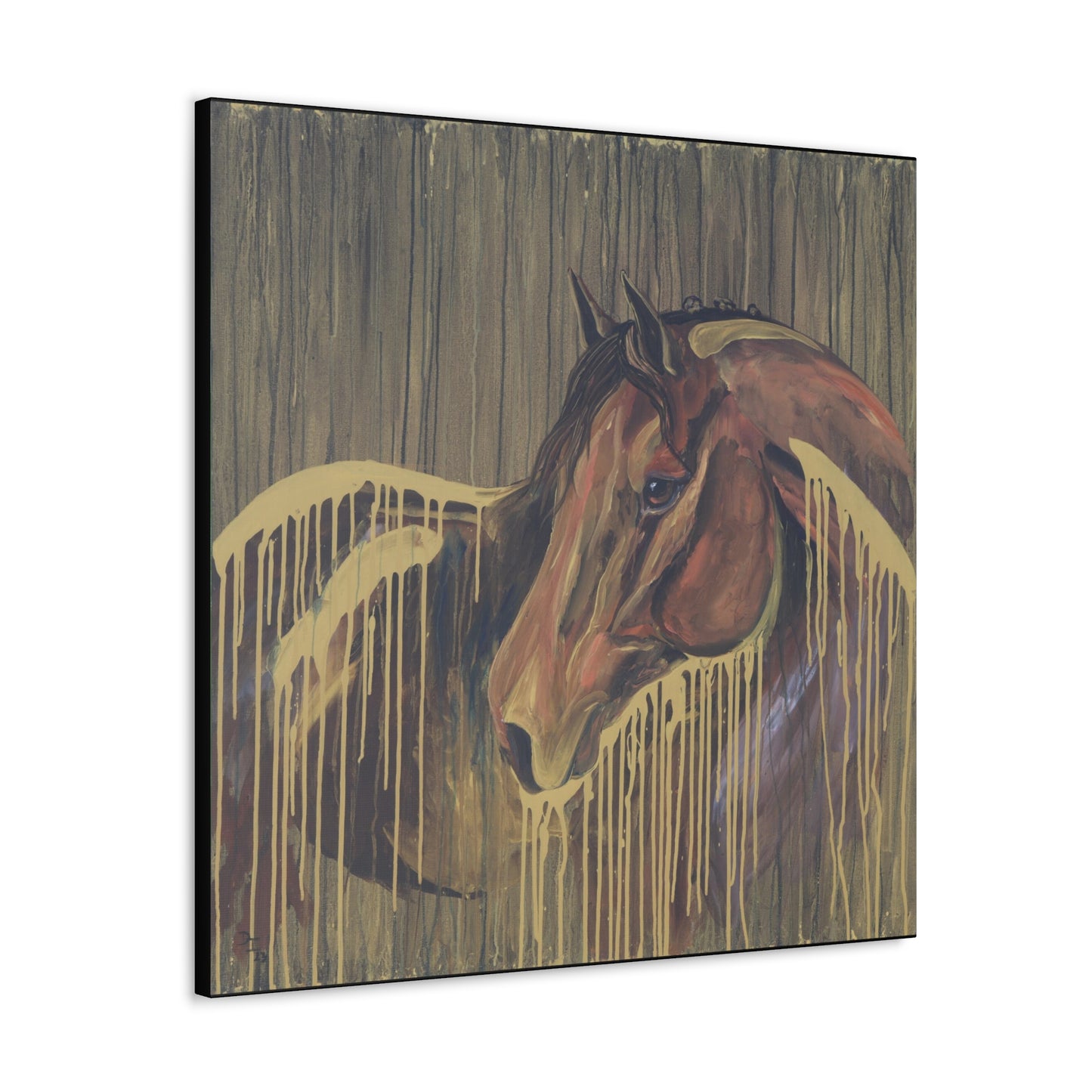 Golden Bay Kindness - SonaEquestrian