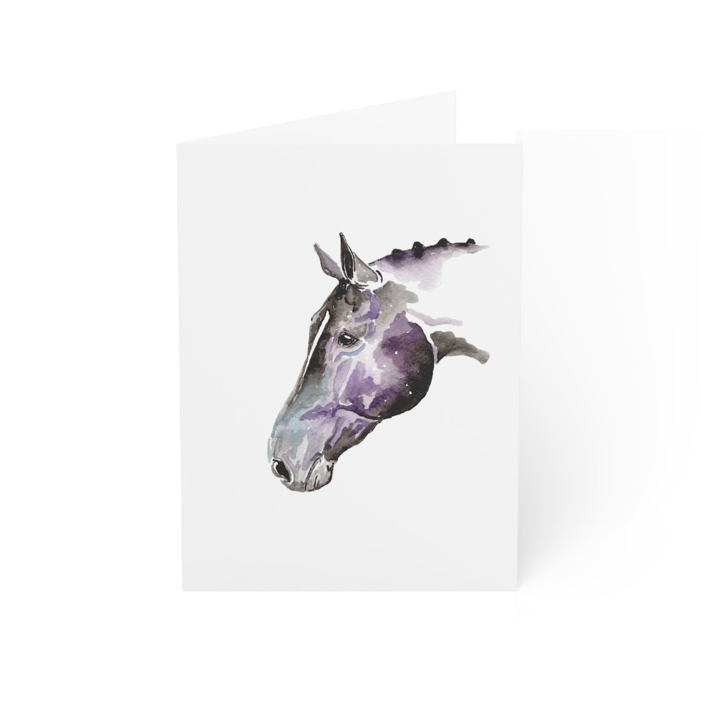 #38 Star Light Greeting cards - SonaEquestrian