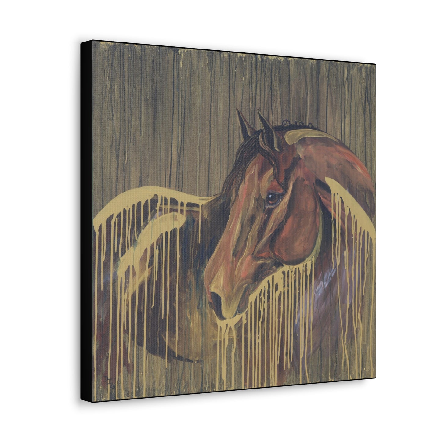 Golden Bay Kindness - SonaEquestrian