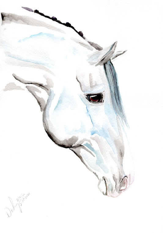 #28 Admiration Postcard (4x6) - SonaEquestrian