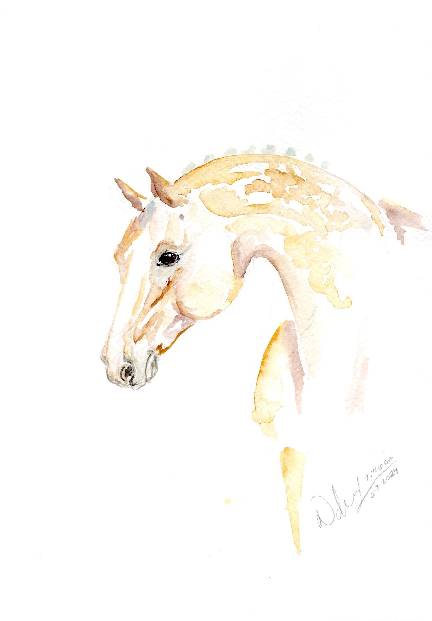 #20 A Touch of Lace Print - SonaEquestrian