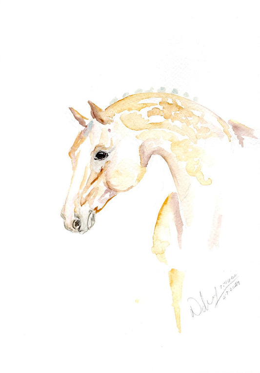#20 A Touch of Lace Print - SonaEquestrian
