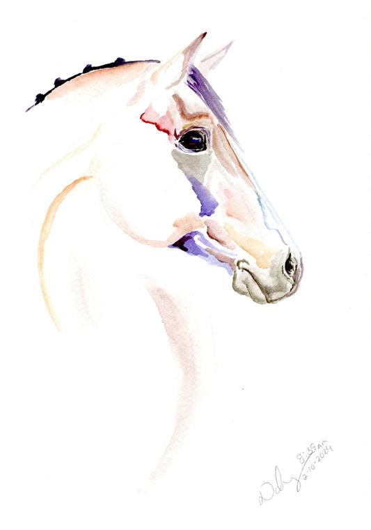 #23 Hello Postcard (4x6) - SonaEquestrian