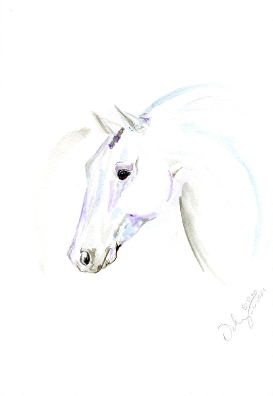 #19 Shadows Print - SonaEquestrian