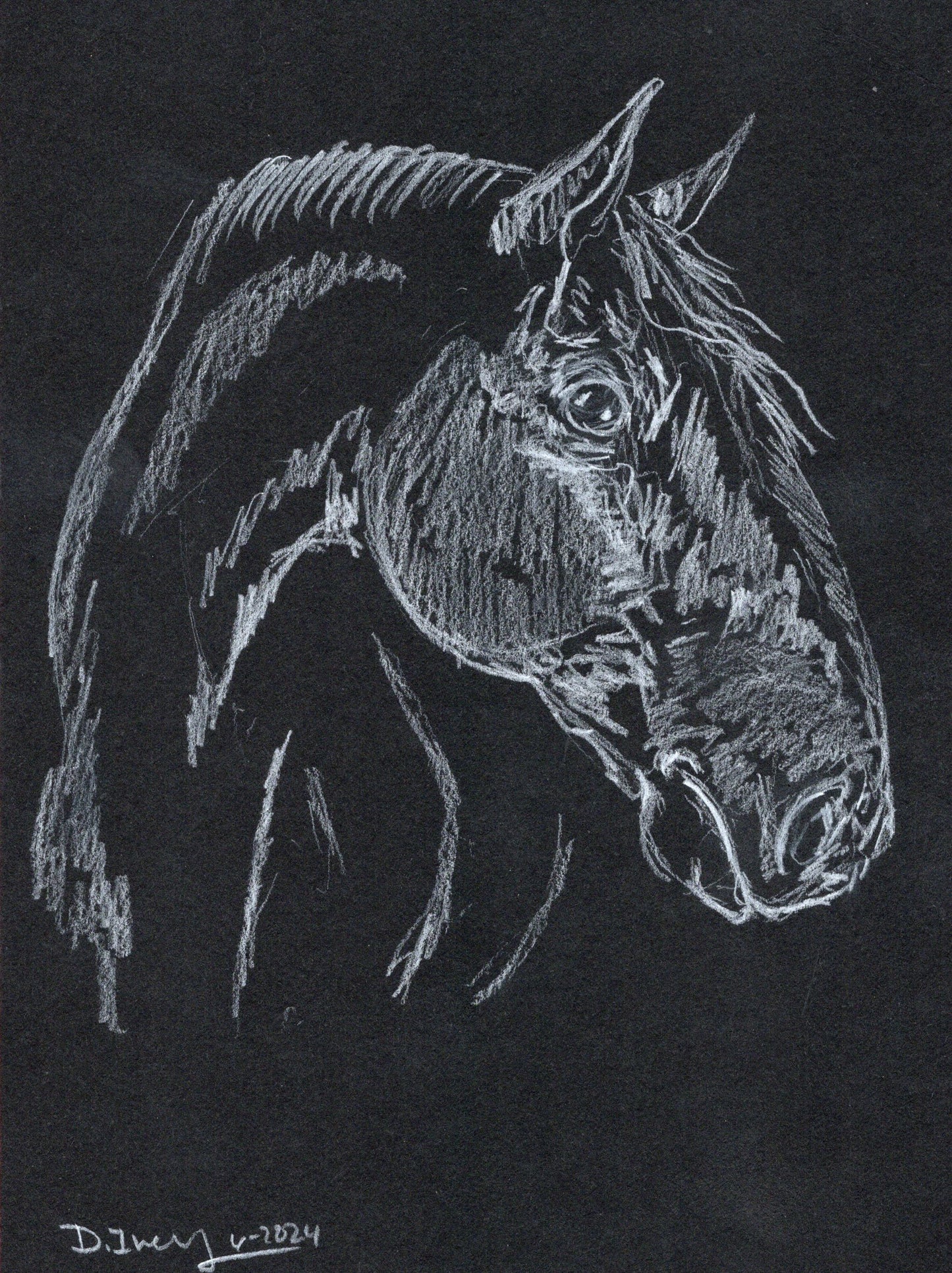 White charcoal graphite pencil - 1 - SonaEquestrian