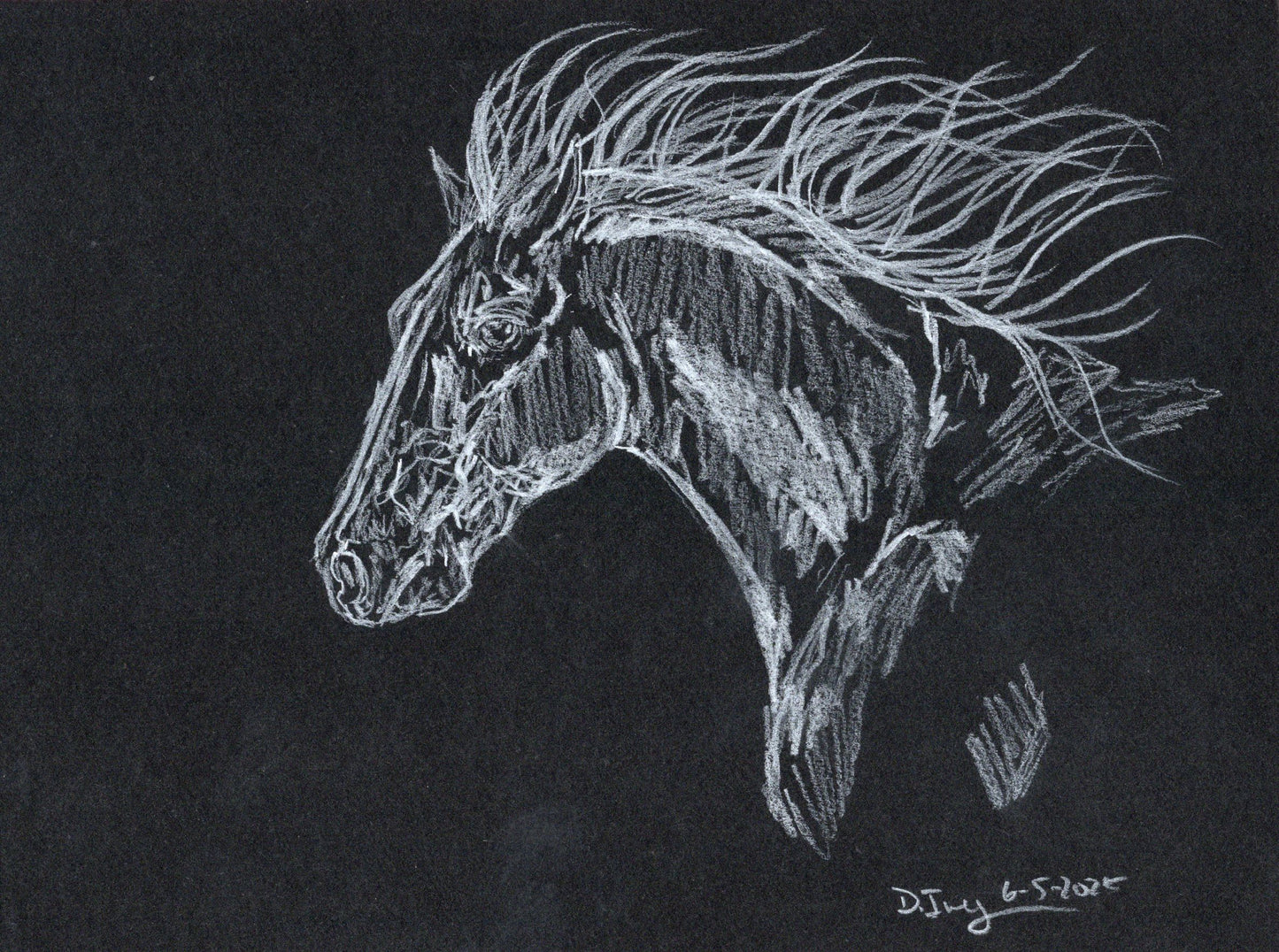 White charcoal graphite pencil - 4 - SonaEquestrian