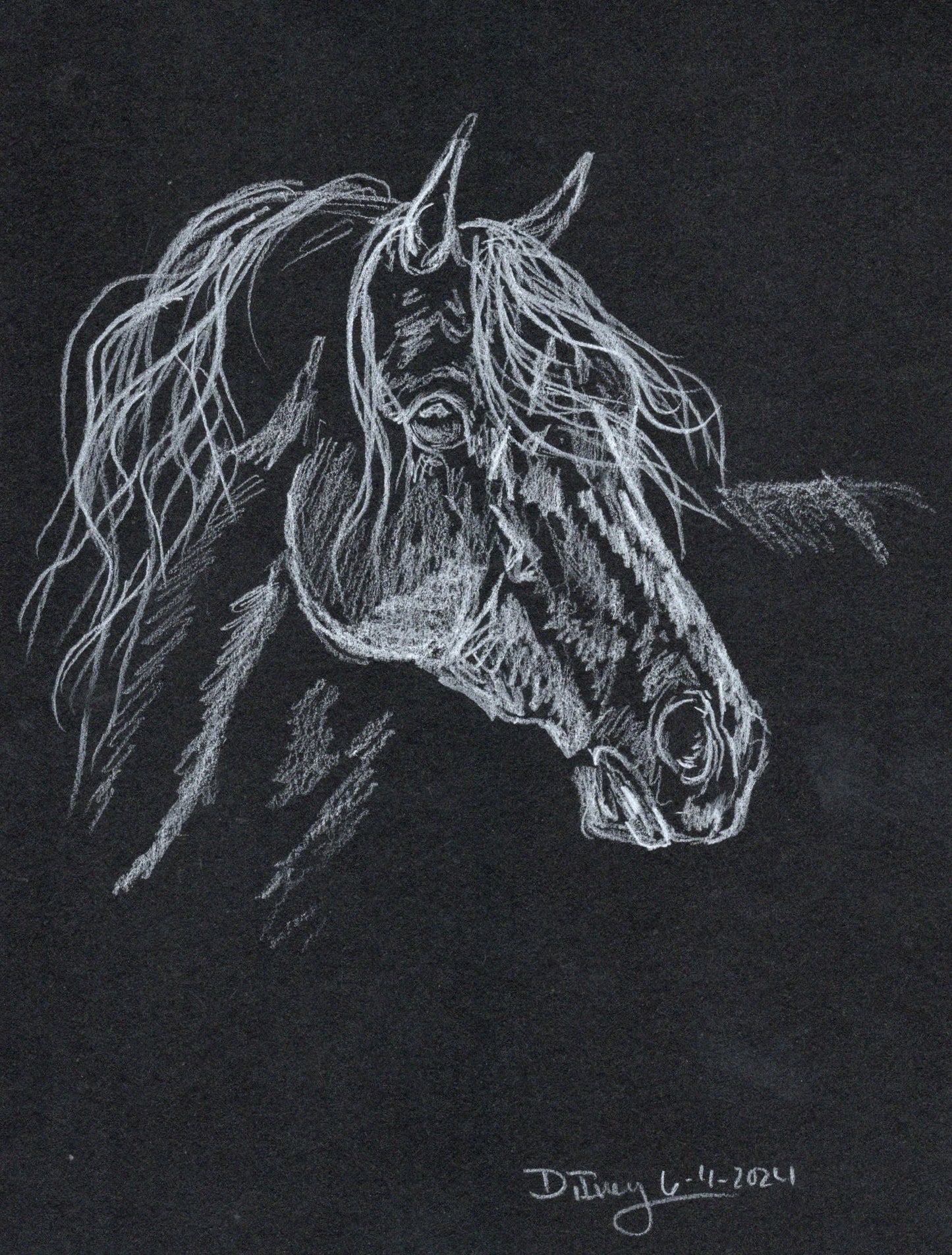 White charcoal graphite pencil - 2 - SonaEquestrian