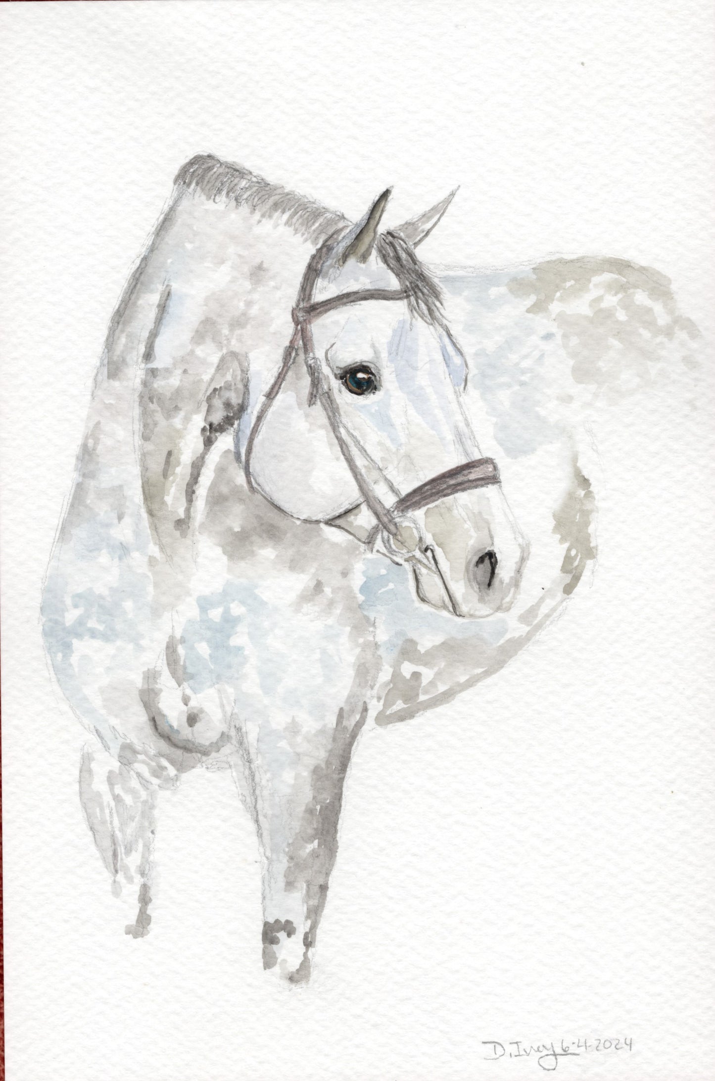Grey Hunter - Original Watercolor