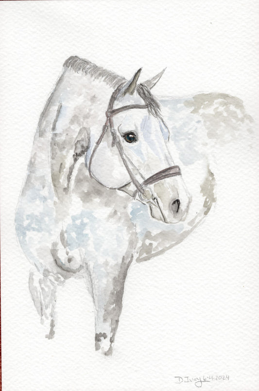Grey Hunter - Original Watercolor