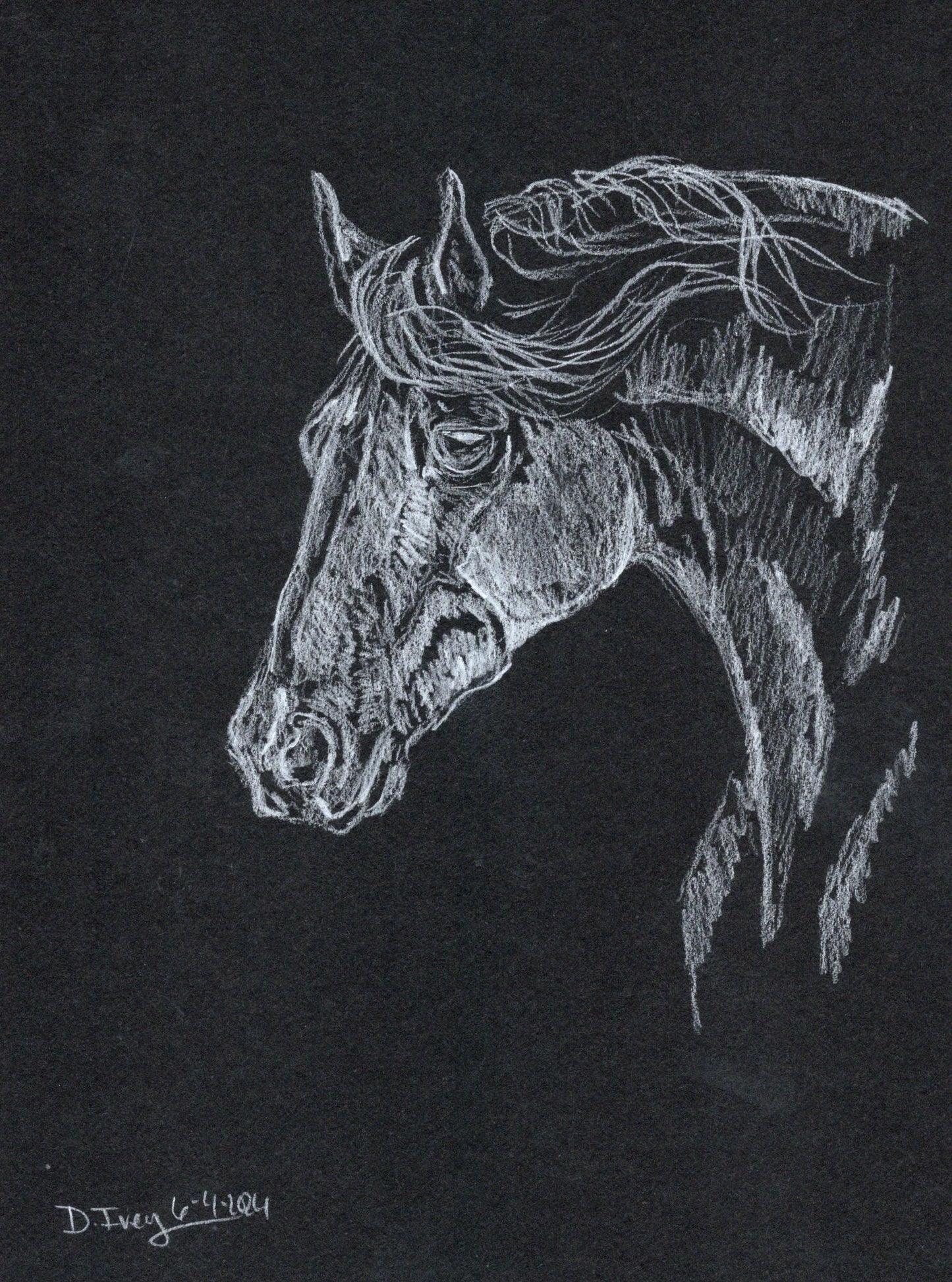 White charcoal graphite pencil -3 - SonaEquestrian