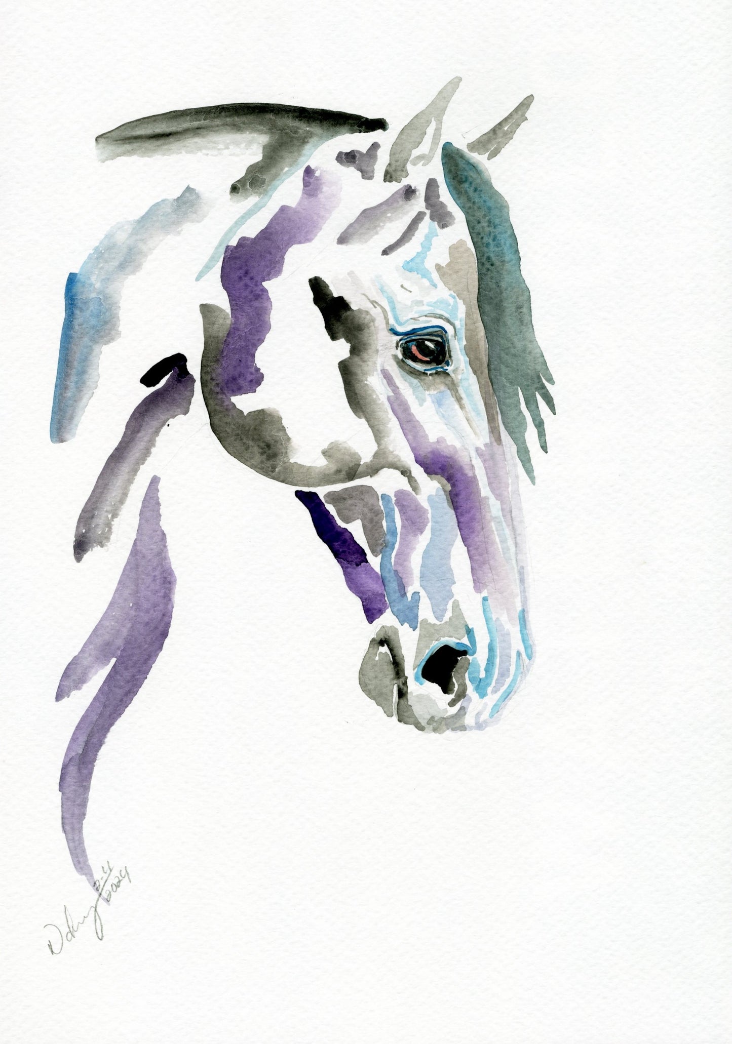 Still Night  4 x 6 post card - SonaEquestrian