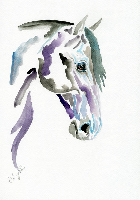 Still Night  4 x 6 post card - SonaEquestrian