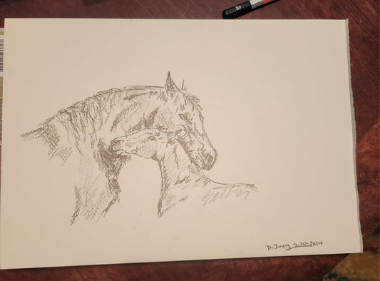 Embrace - SonaEquestrian