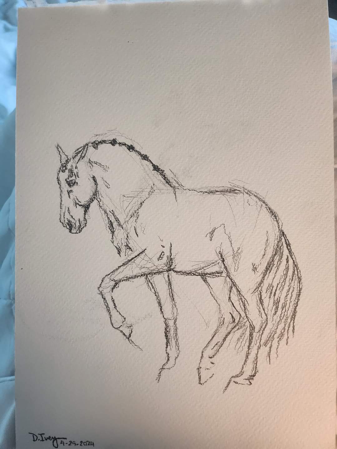 Piaffe Practice - SonaEquestrian