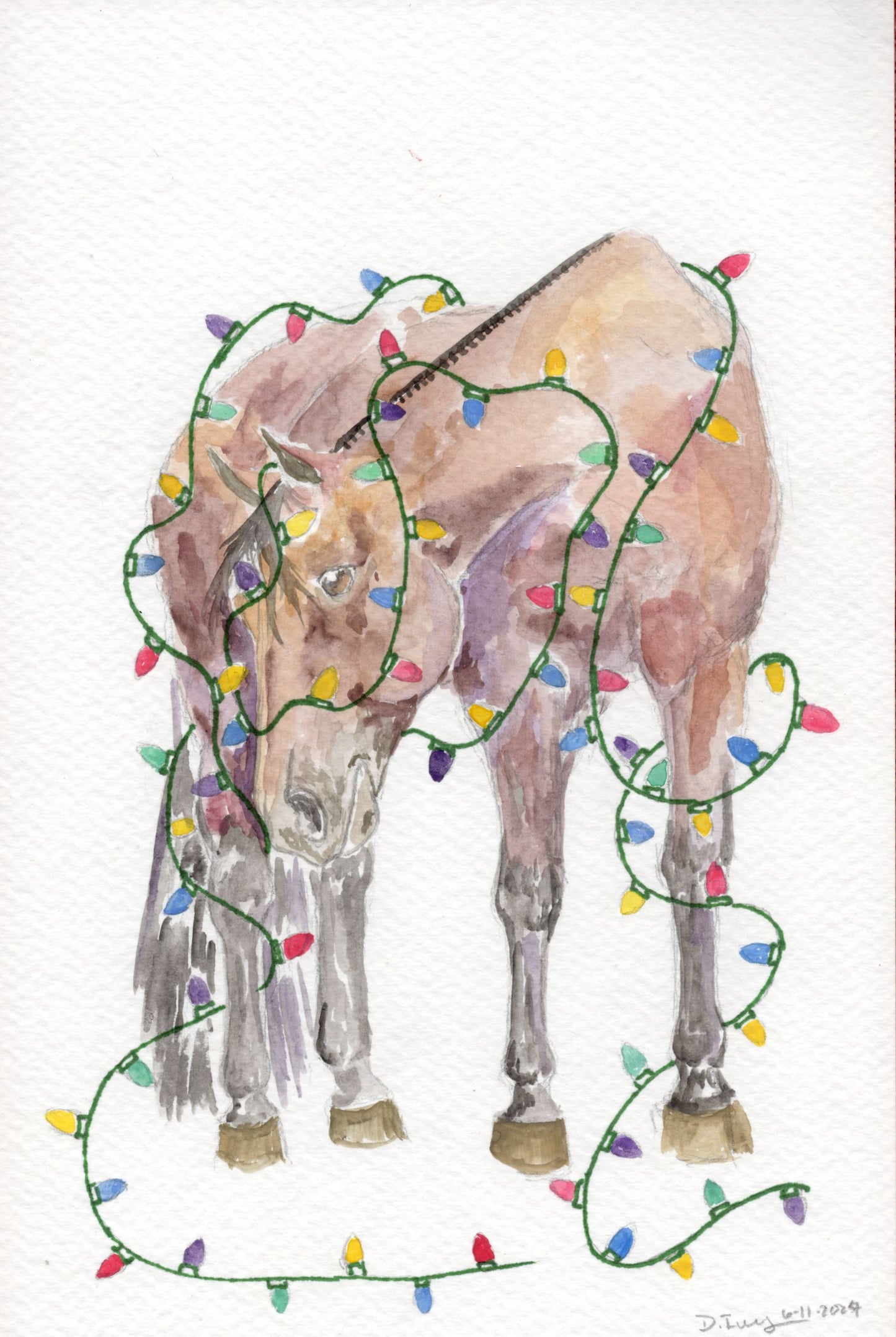 Holiday Greeting Card 10 Pack