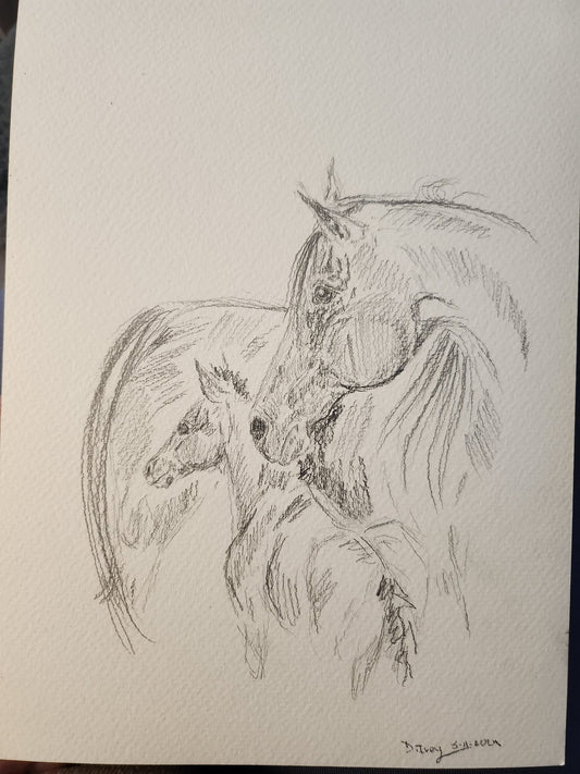 Watchful - SonaEquestrian
