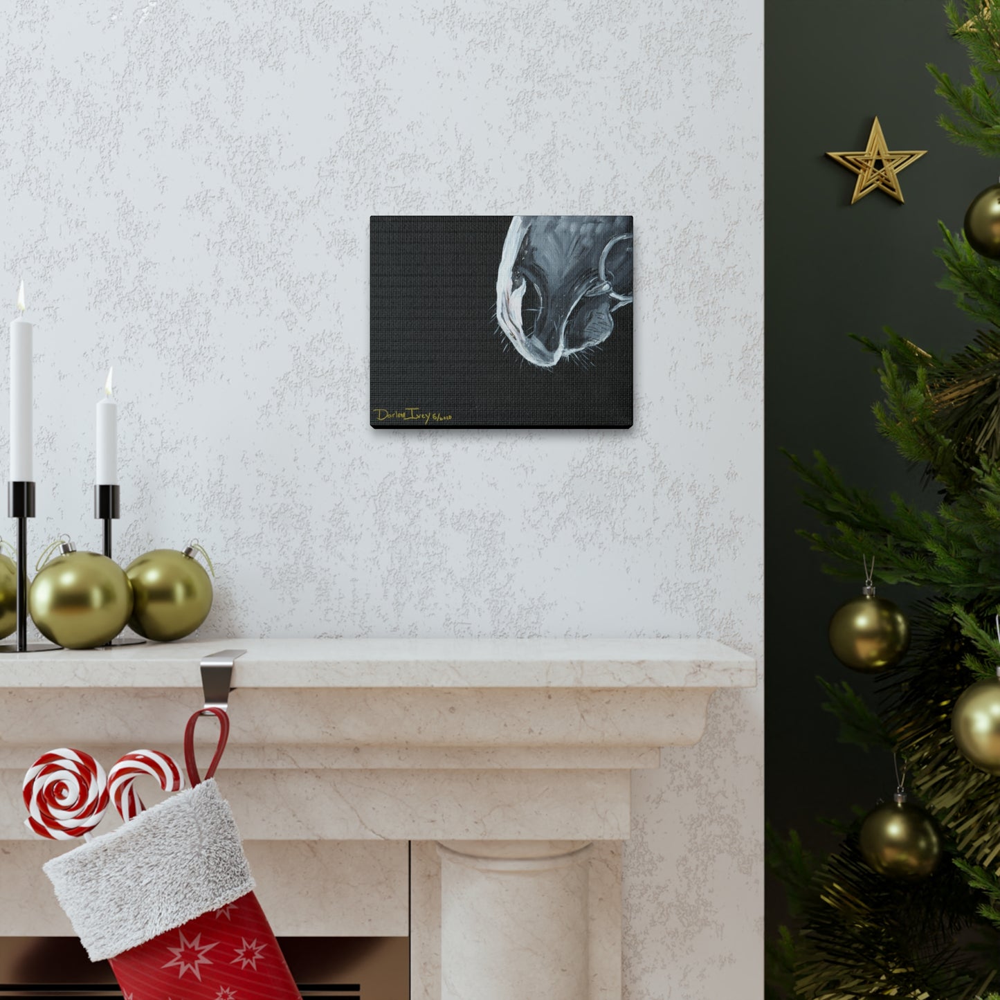 Grey muzzle Canvas Gallery Wraps
