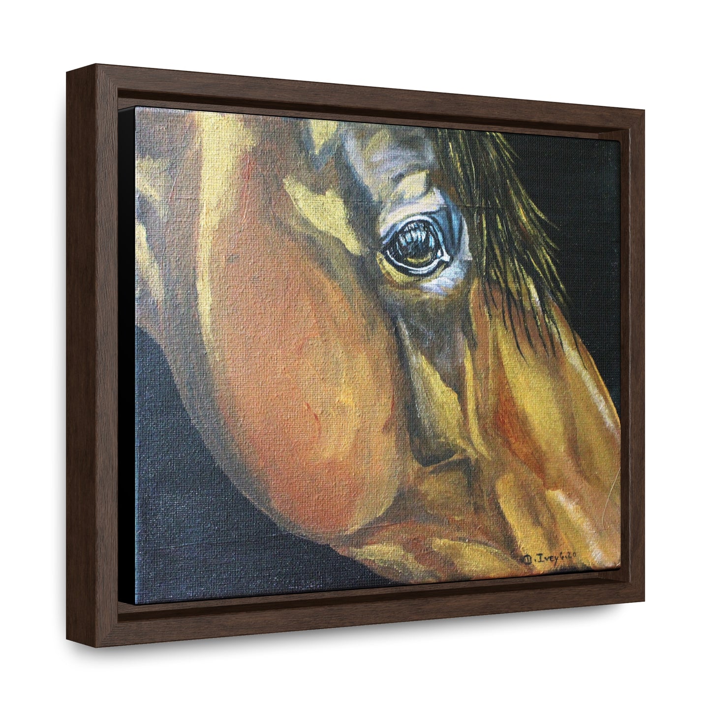 Gentle Eye - Gallery Canvas Wraps, Horizontal Frame - SonaEquestrian