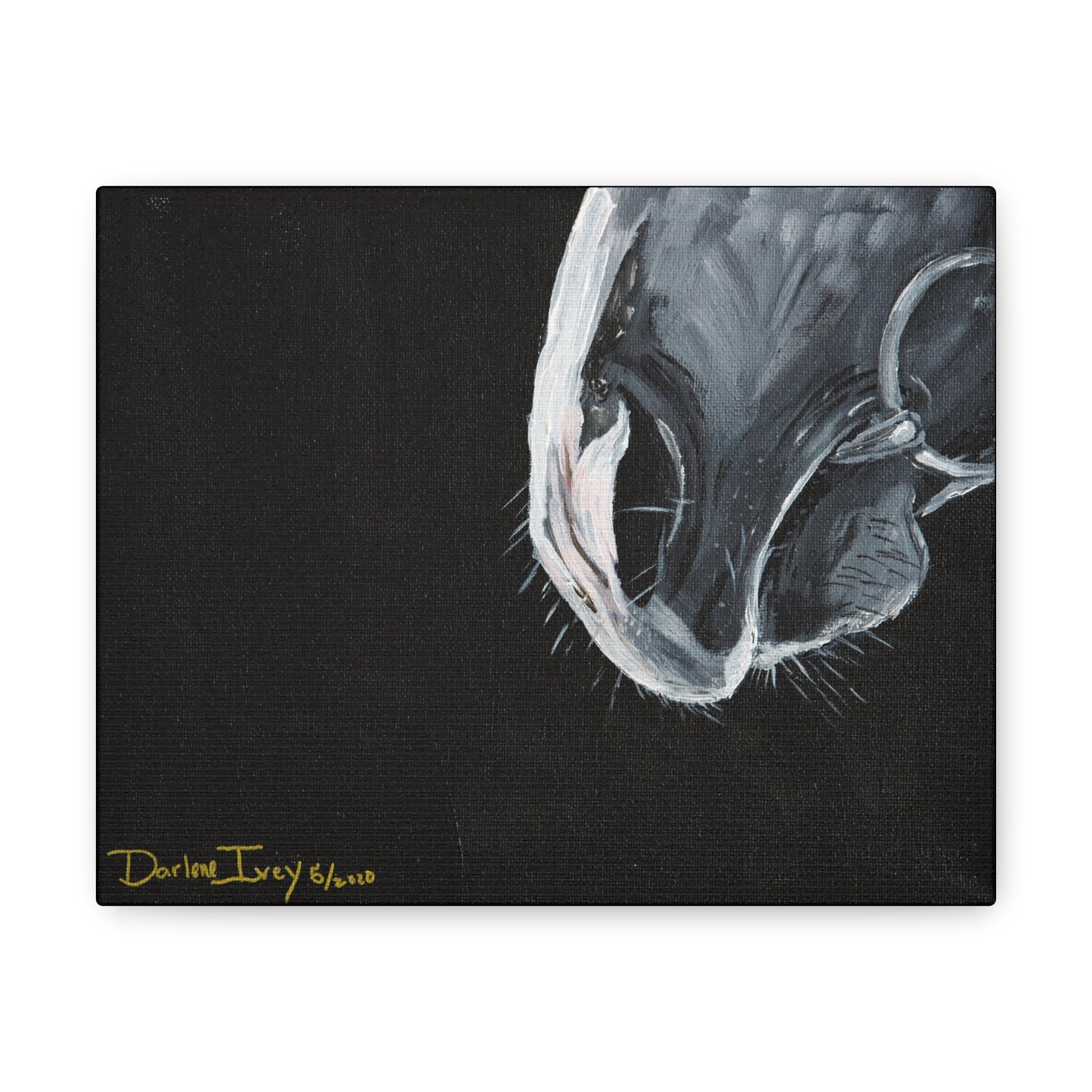 Grey muzzle Canvas Gallery Wraps