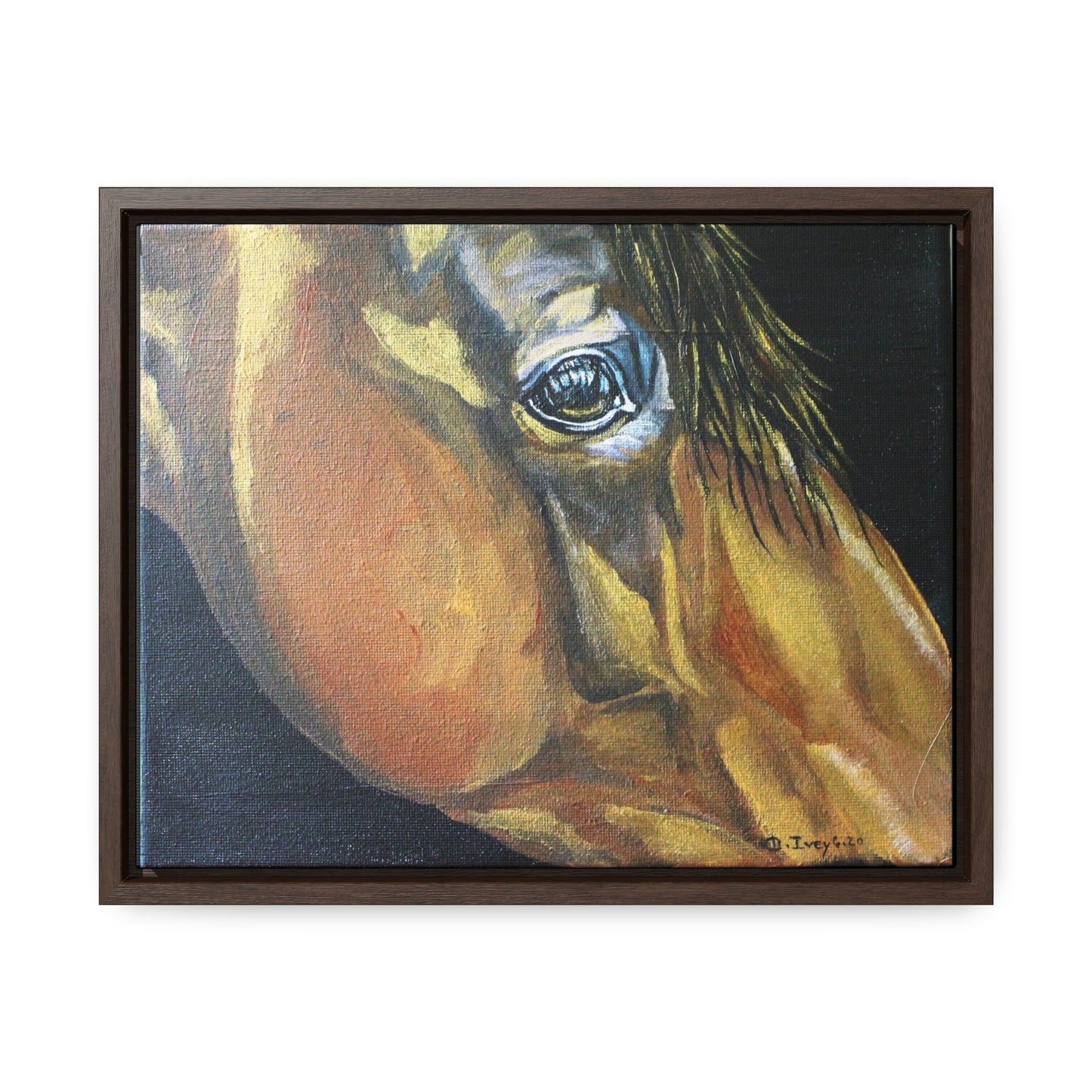 Gentle Eye - Gallery Canvas Wraps, Horizontal Frame - SonaEquestrian