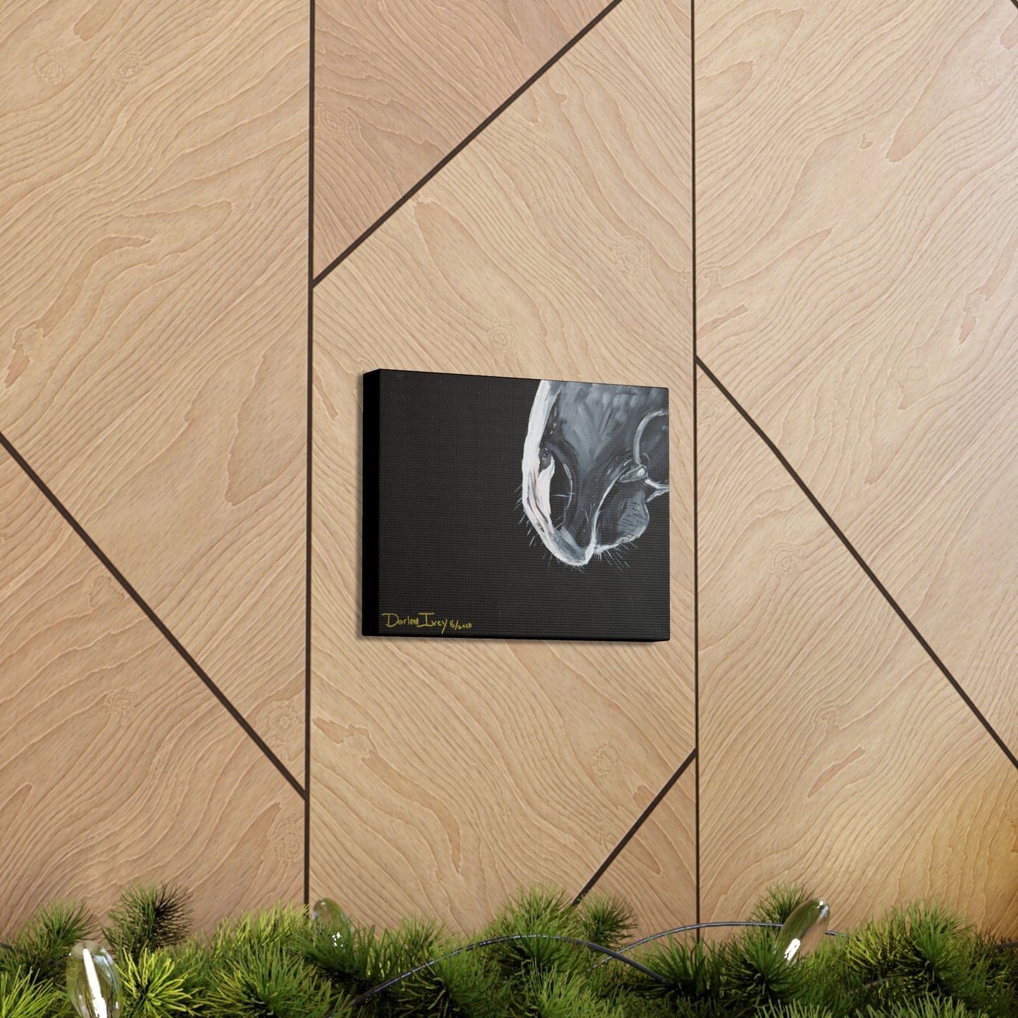 Grey muzzle Canvas Gallery Wraps