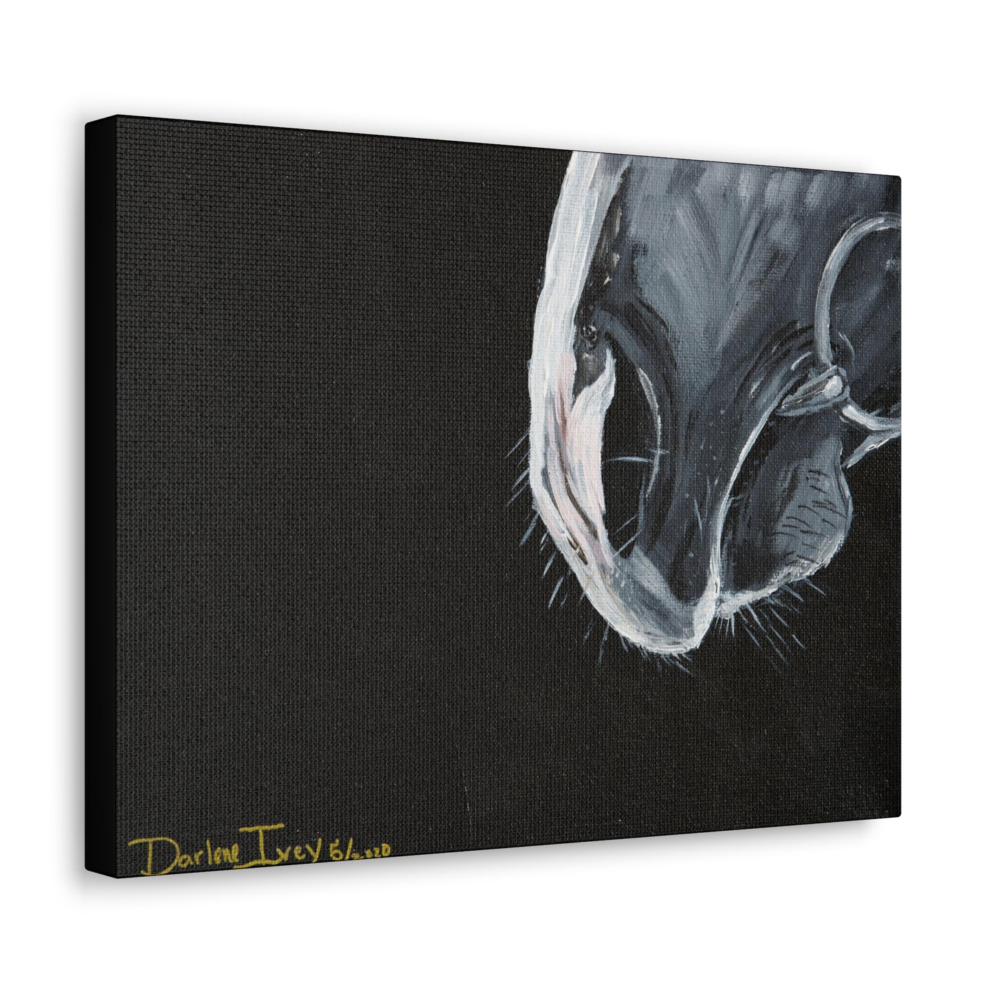 Grey muzzle Canvas Gallery Wraps