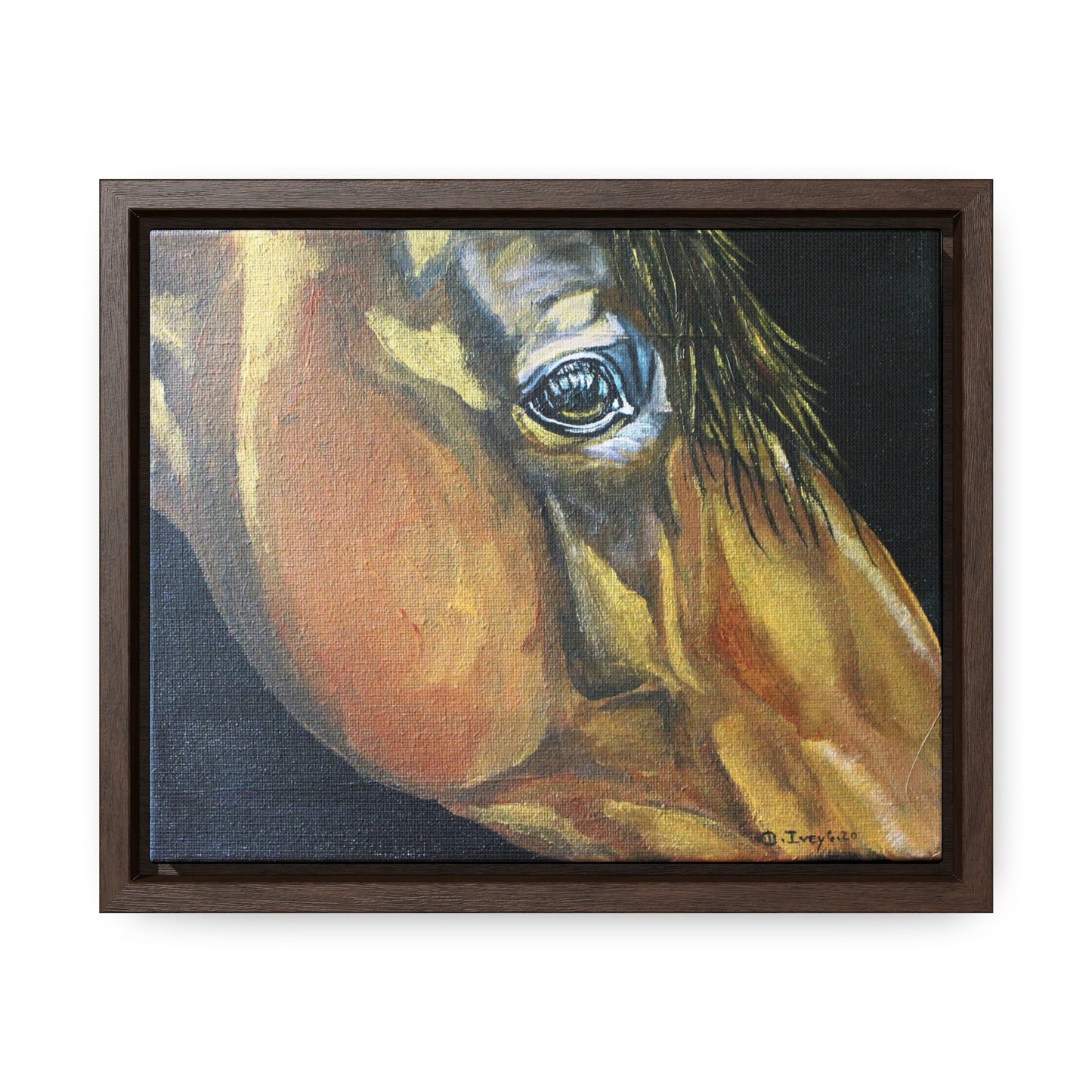 Gentle Eye - Gallery Canvas Wraps, Horizontal Frame - SonaEquestrian