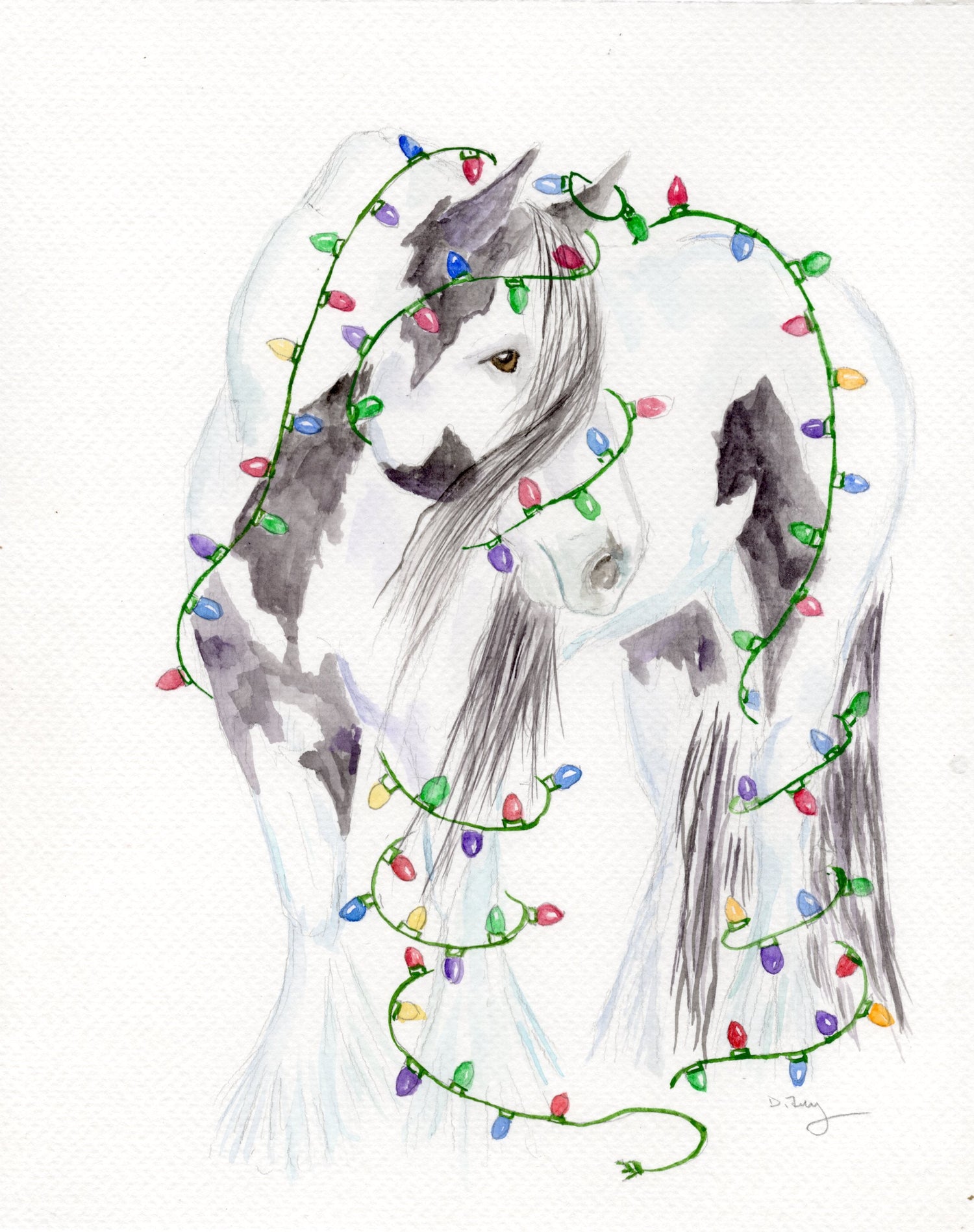 Gypsy Vanner / Gypsy Cob