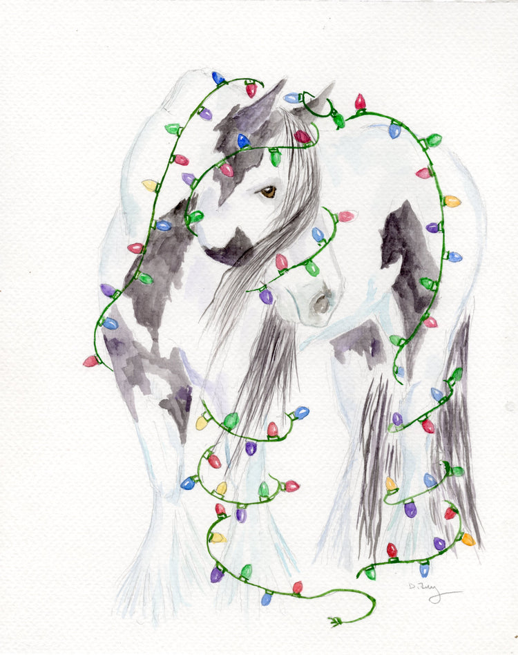 Gypsy Vanner / Gypsy Cob