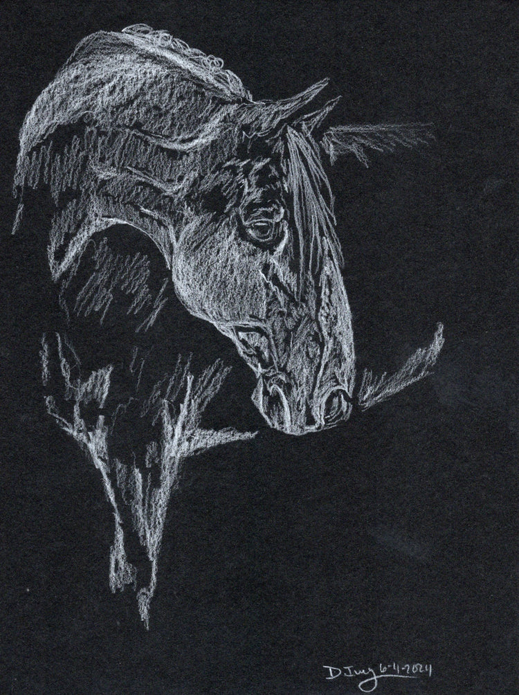 White Charcoal on Black Paper Sketches