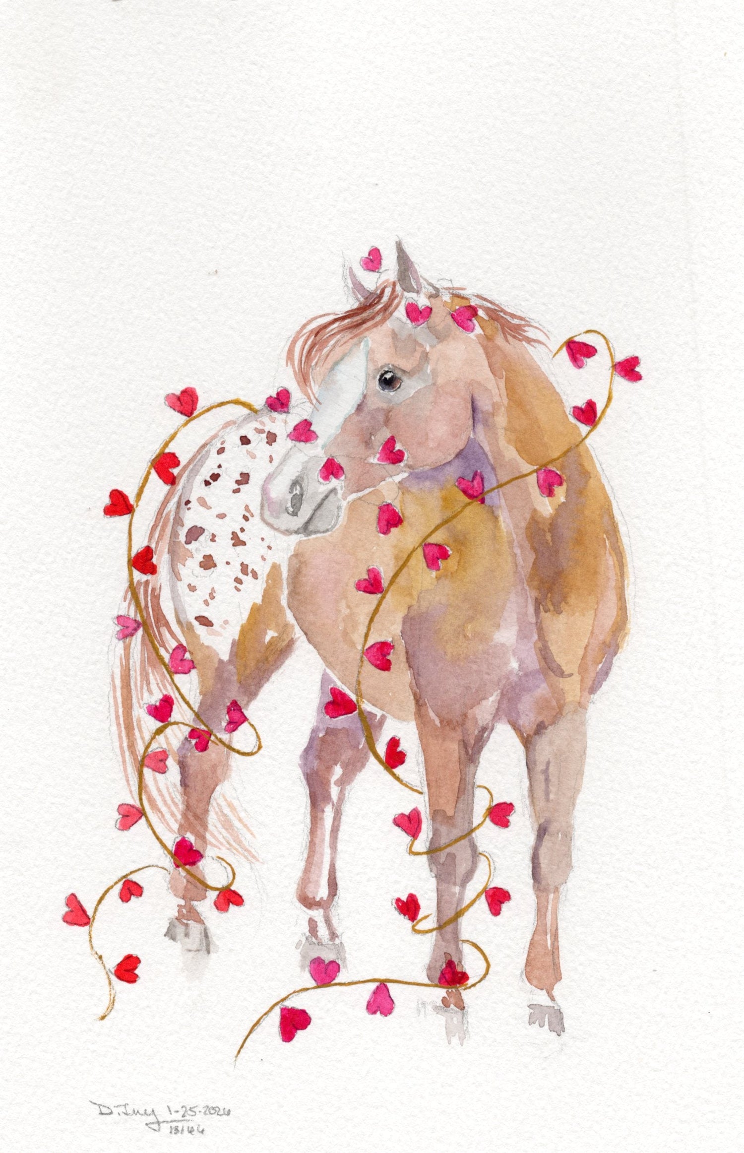 Appaloosa